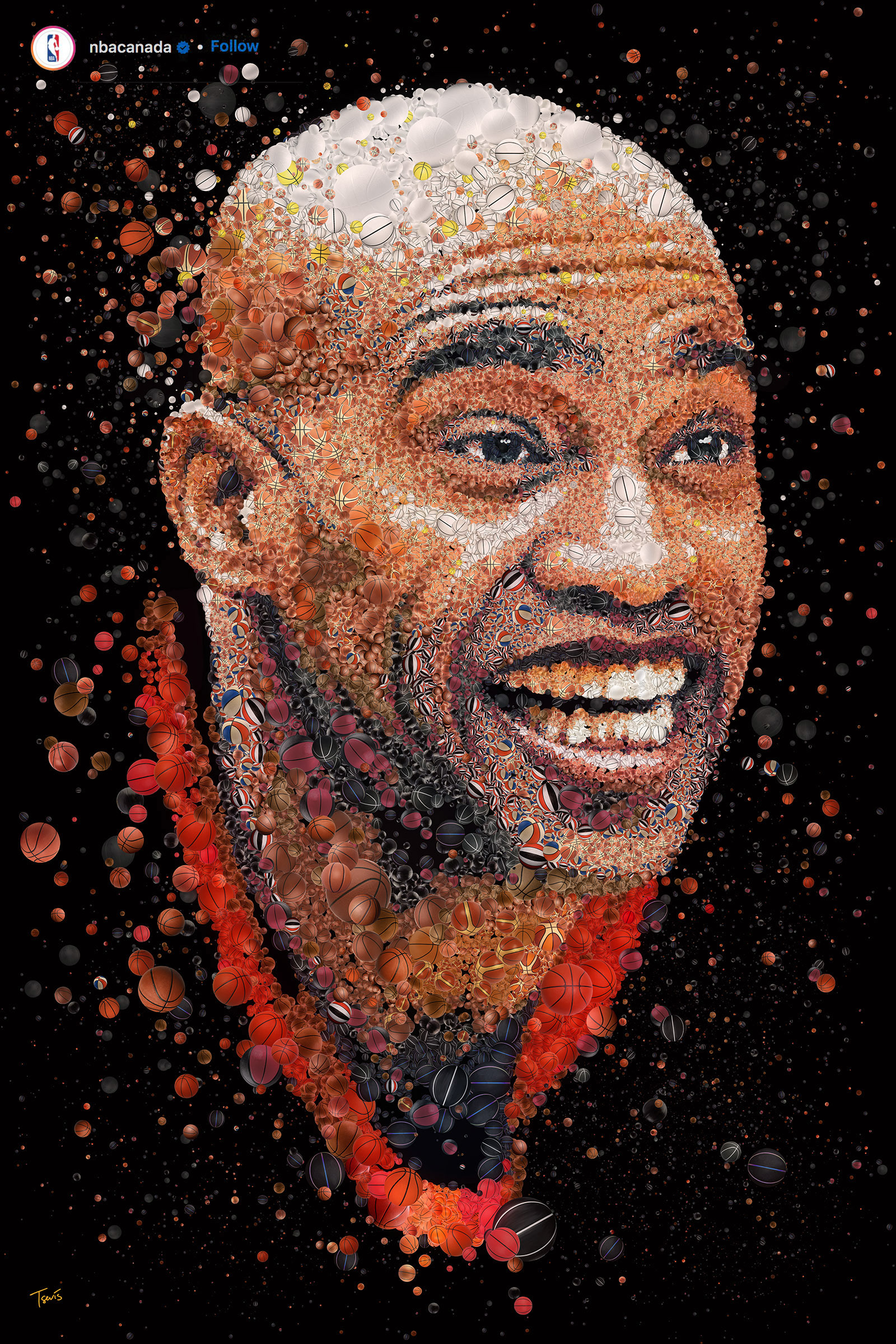 A basketball mosaic, Vince Carter portrait from balls