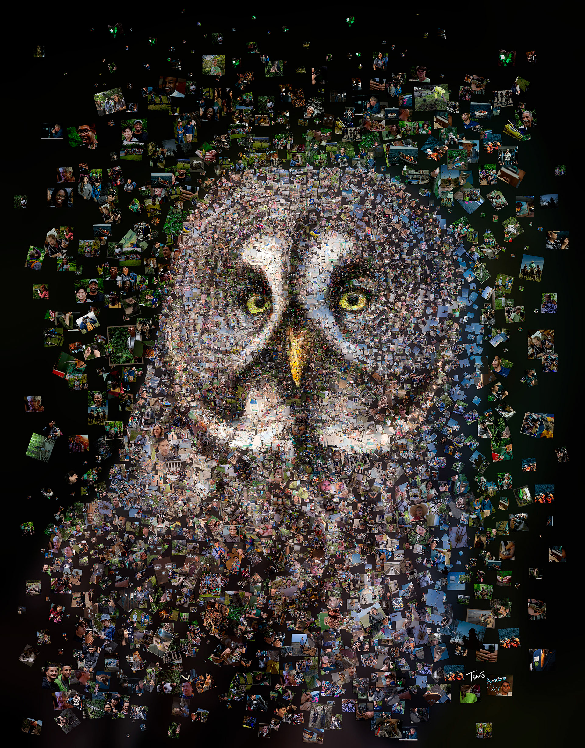 Owl photomosaic editorial illustration for cover design