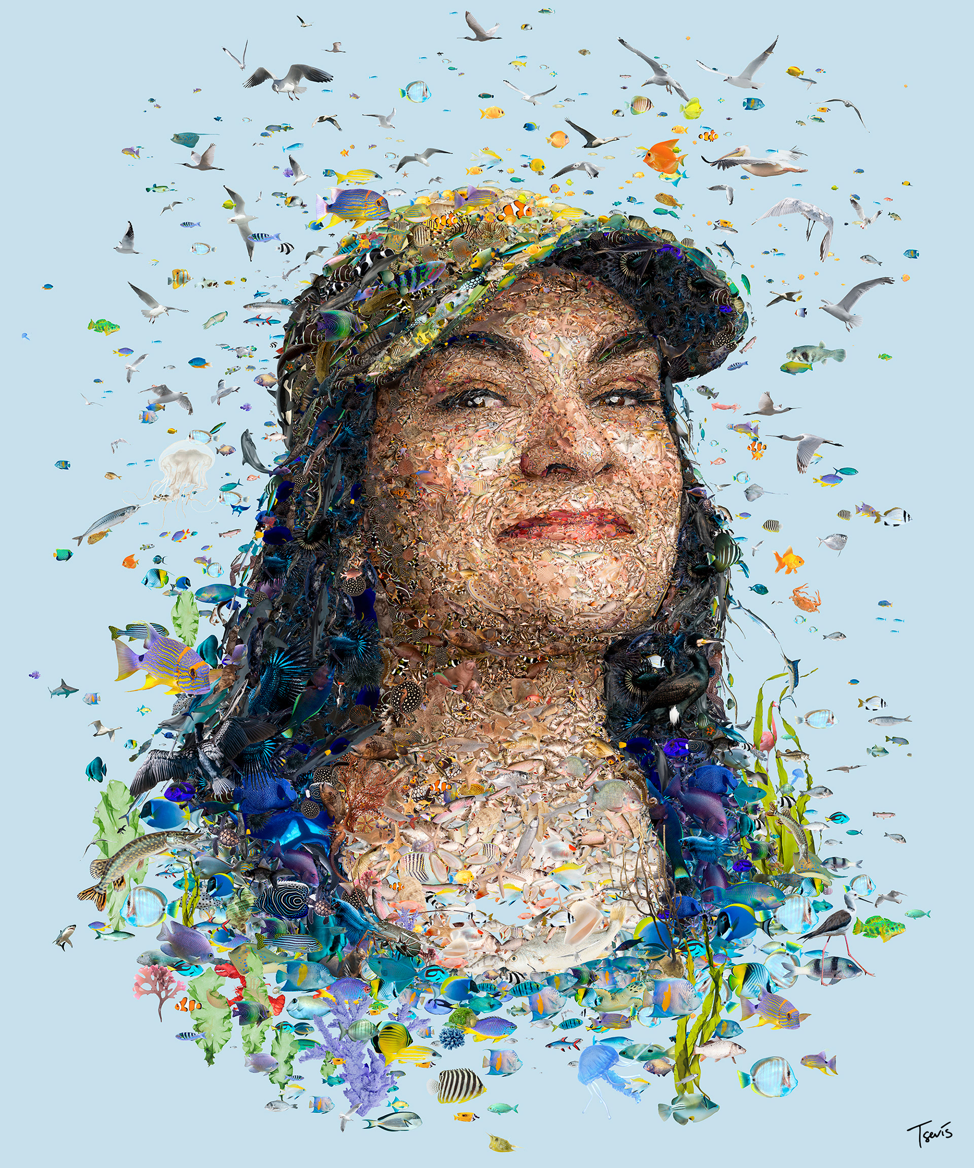 Marine life digital mosaic