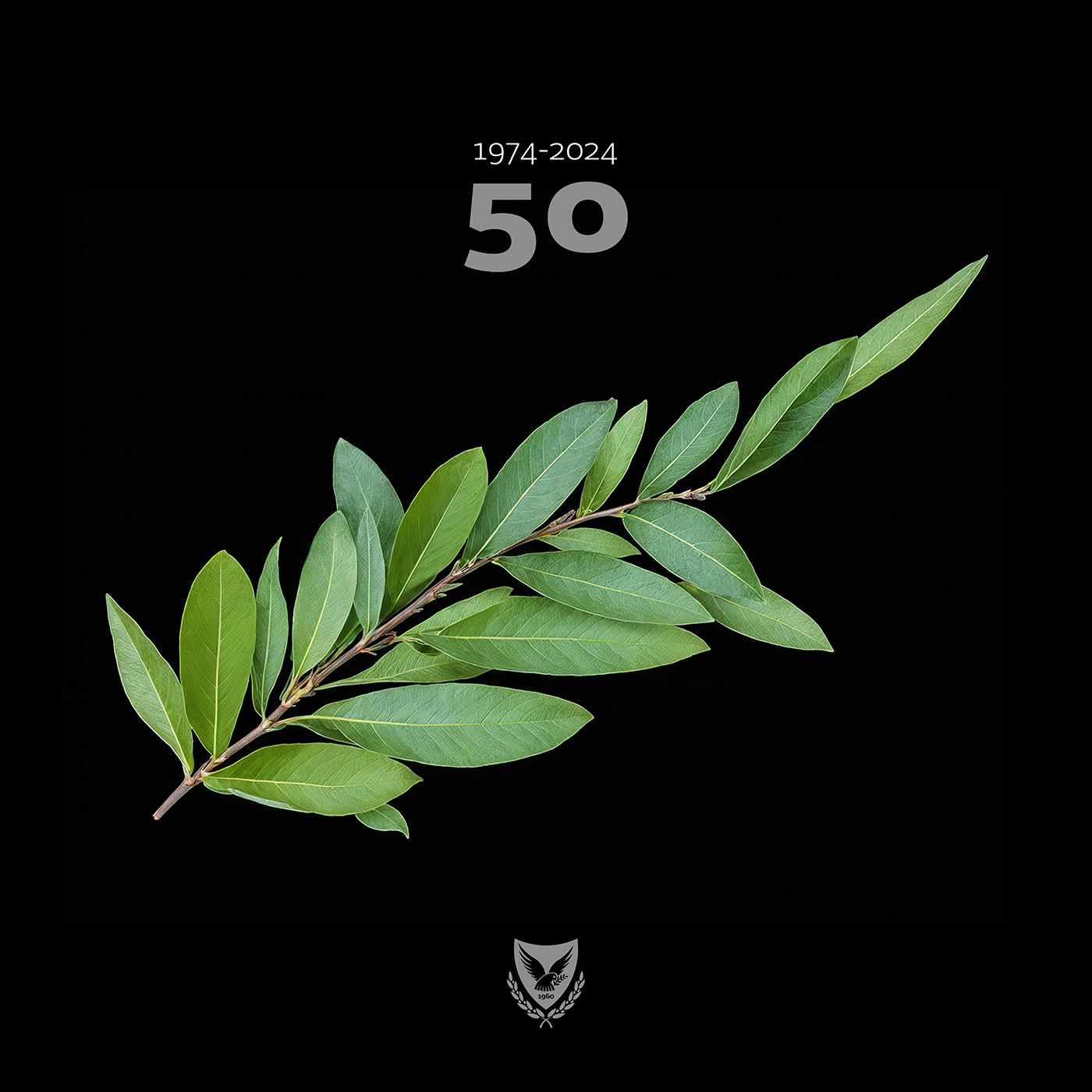 Design project marking 50 years since the Turkish invasion of Cyprus, political illustration