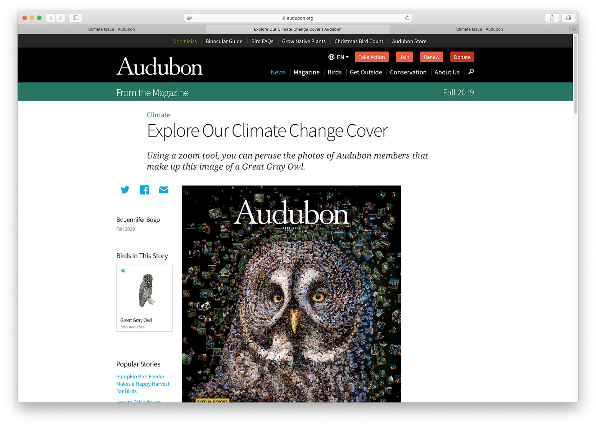Special issue cover artwork of Audubon magazine
