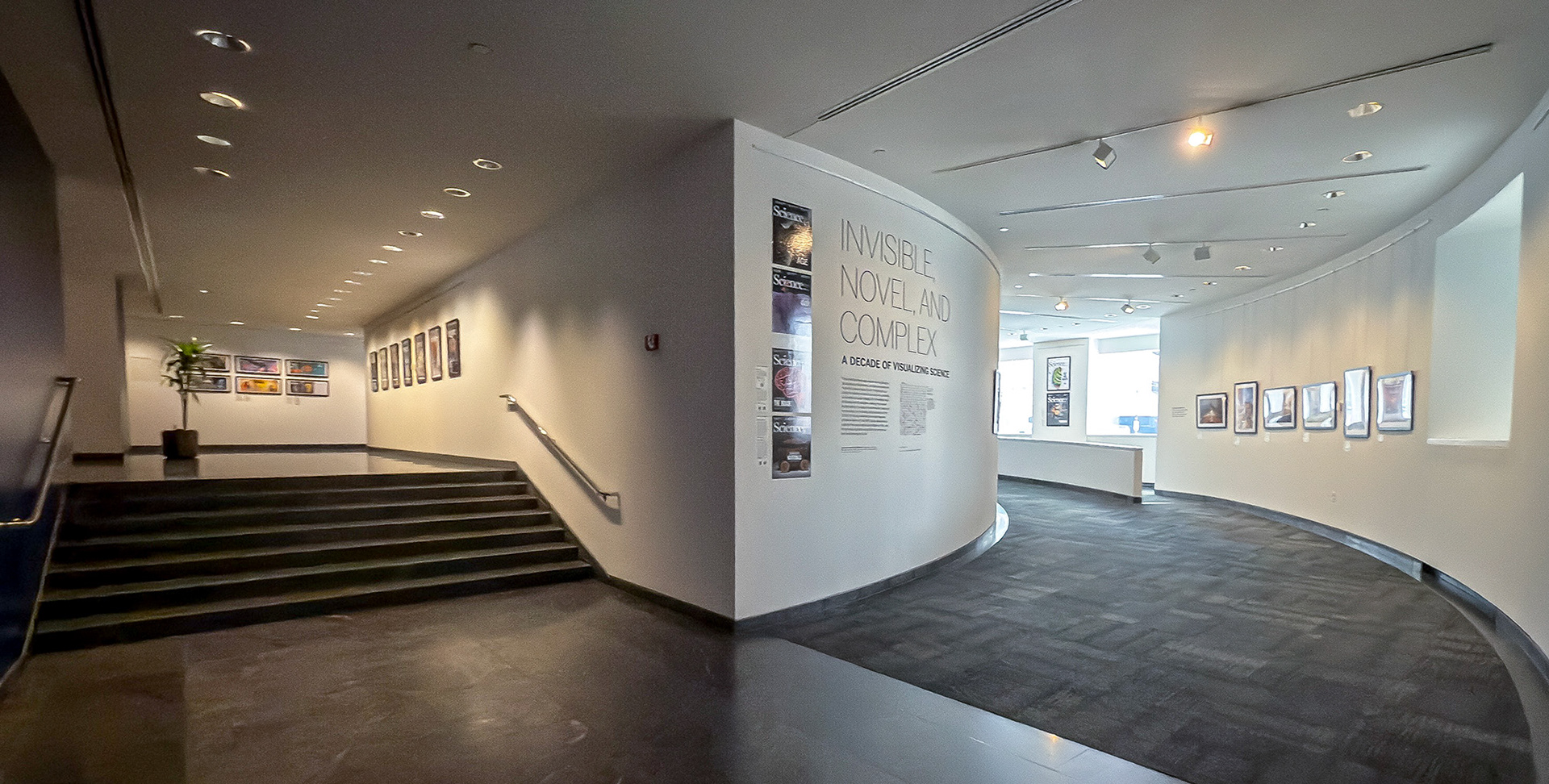 An exhibition panel detailing the artist’s long-standing collaboration with Science magazine, visual storytelling in scientific communication