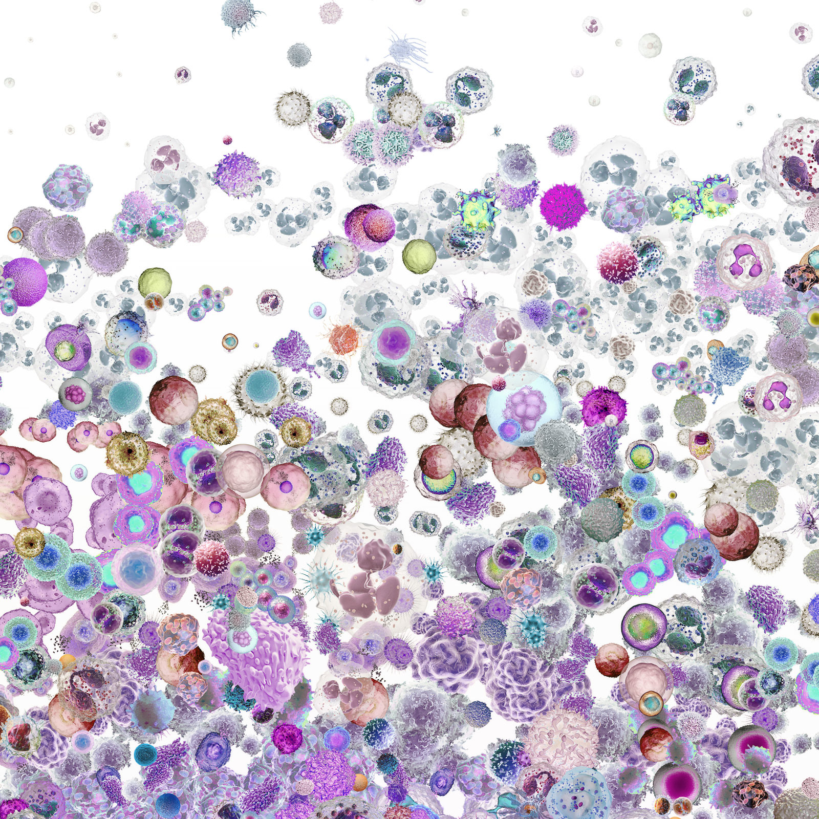 Viruses and bacteria digital collage for magazine