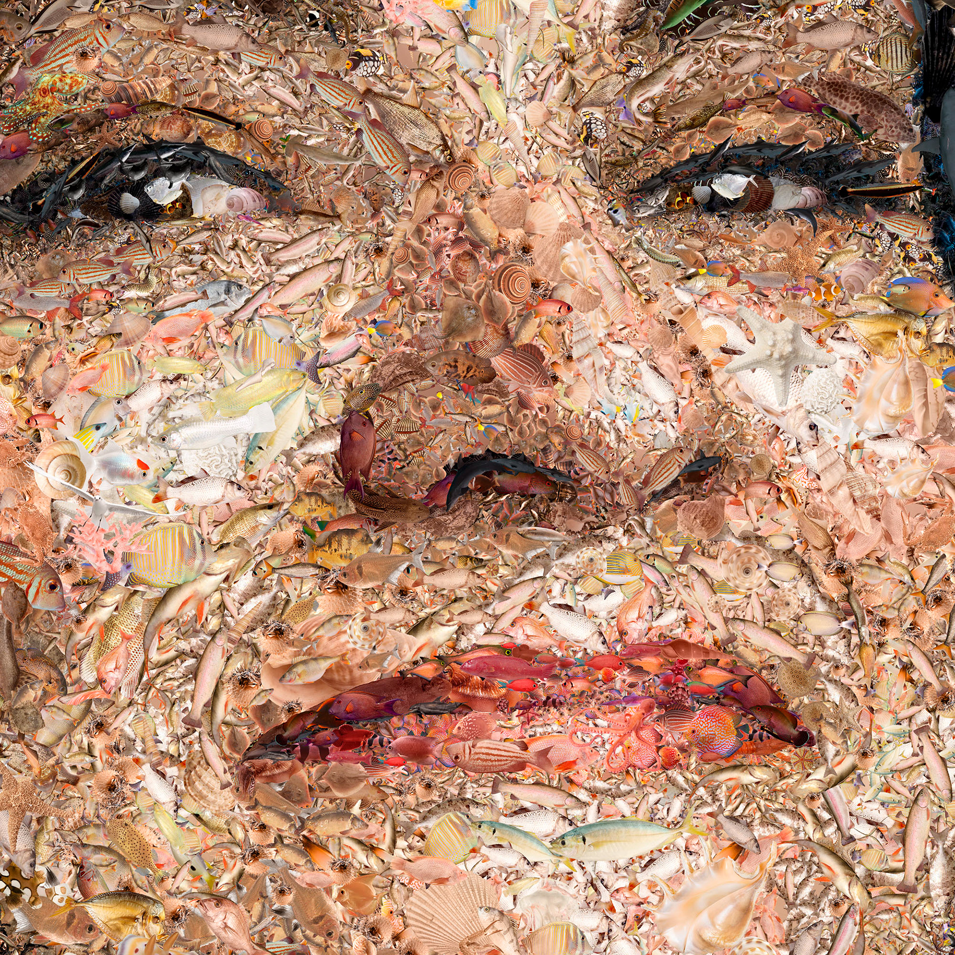 Flying seabirds mosaic hair
