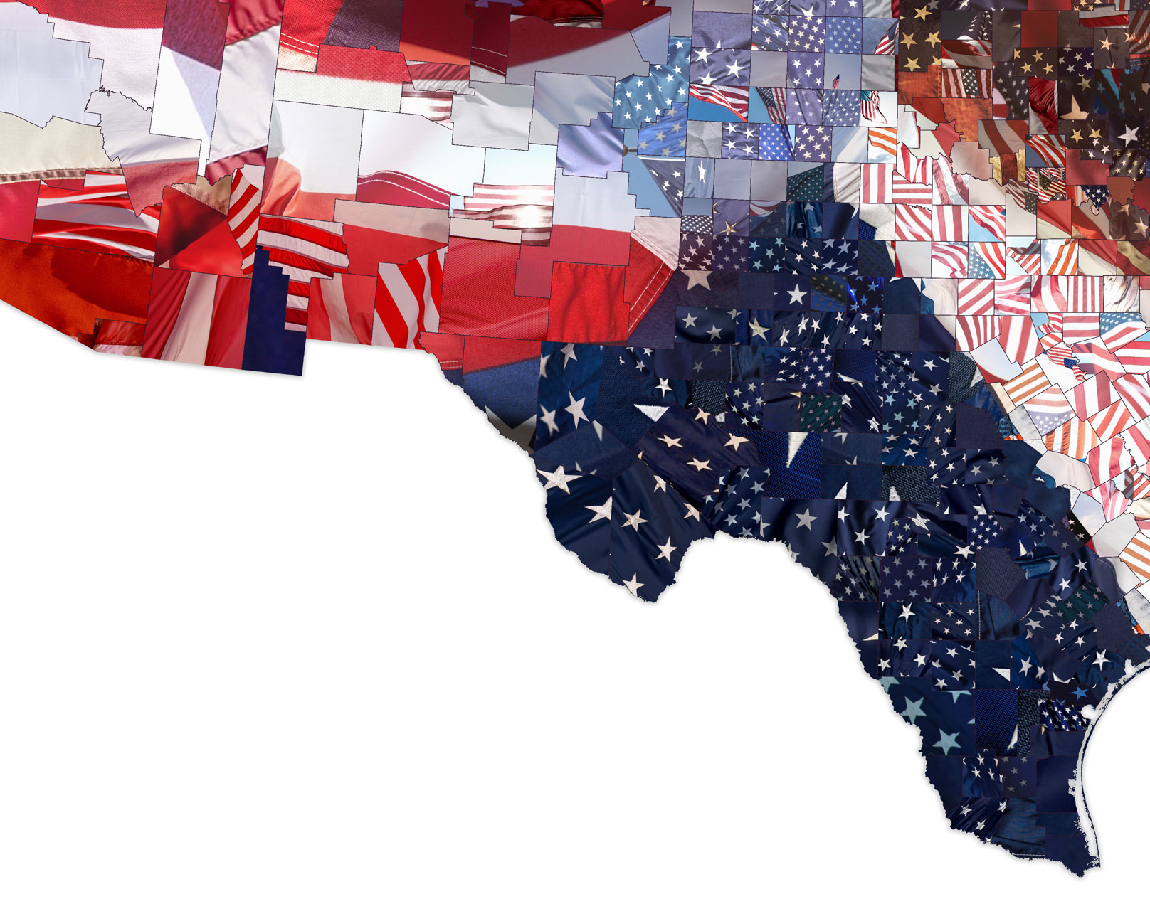 Detail from U.S. mosaic map artwork for the 2020 presidential campaign