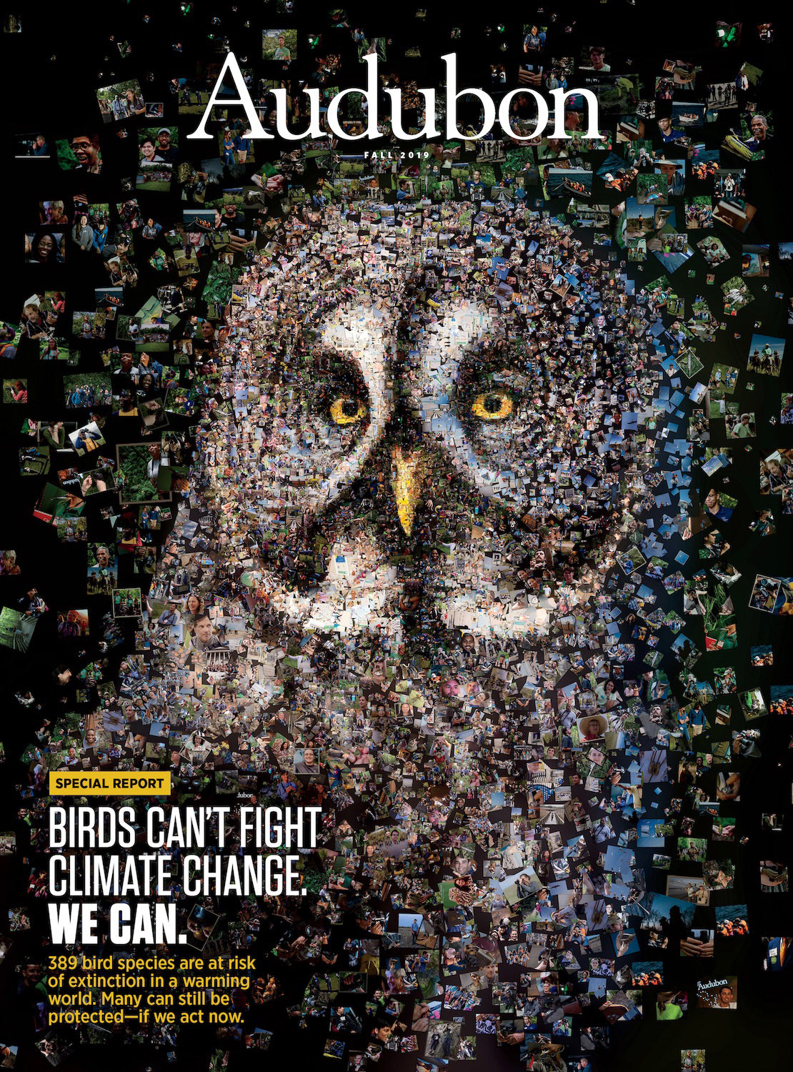 Mosaic illustration for Climate Change, digital editorial media for Audubon magazine