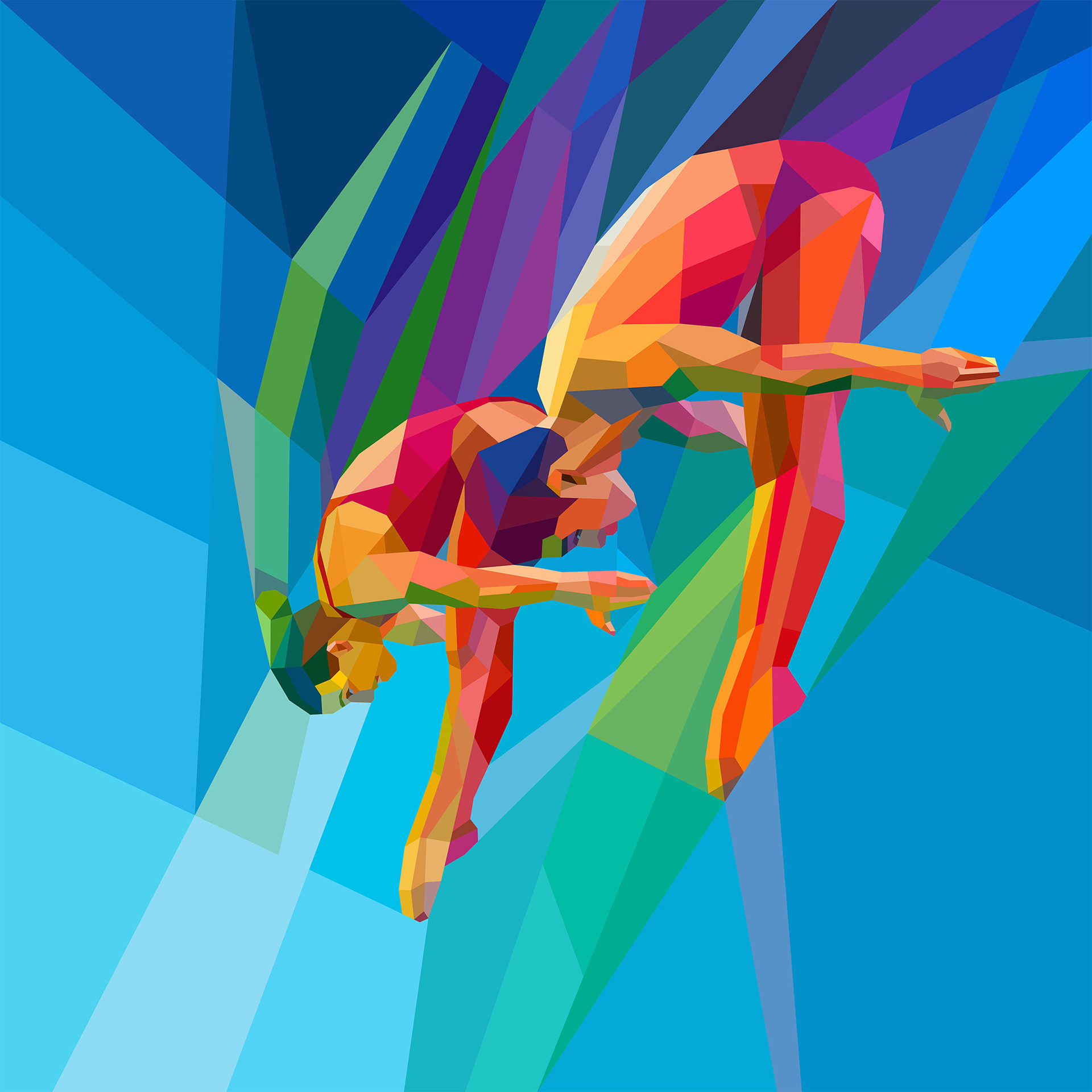 Synchronized diving illustration in colors, sports art illustration
