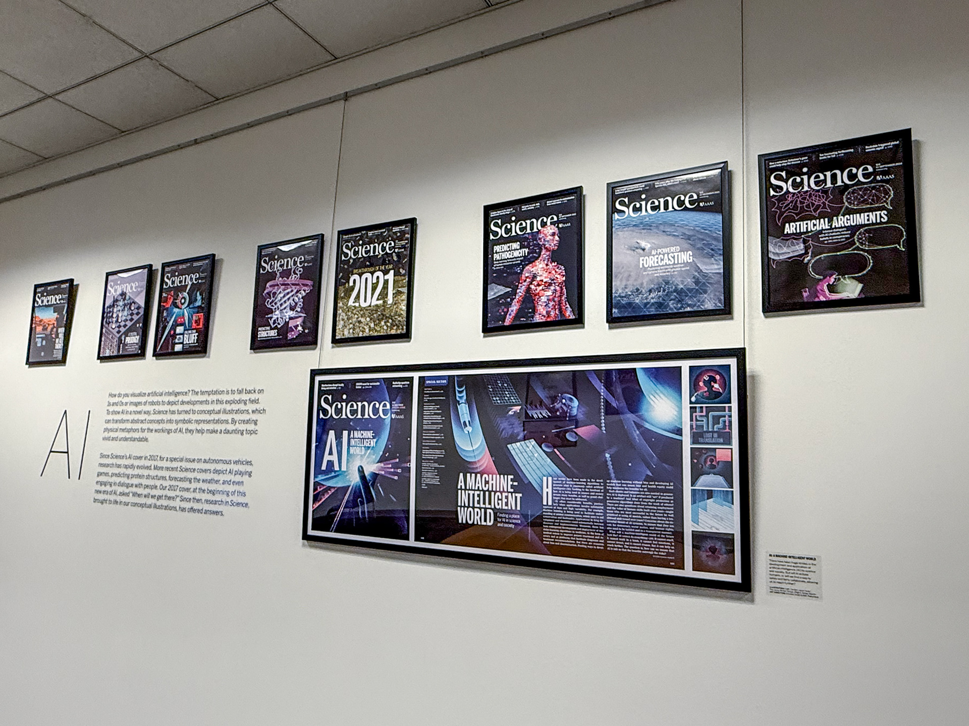 A gallery space featuring the artist’s Science magazine cover artwork, editorial illustration