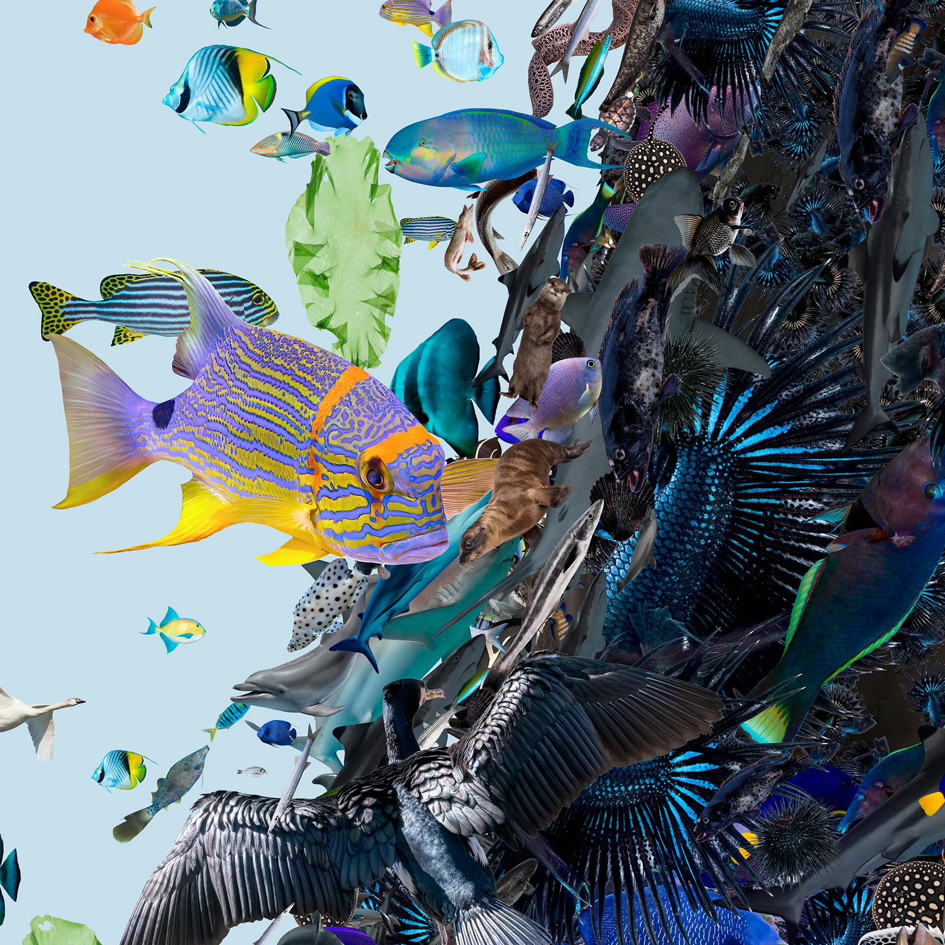 Coral reef mosaic elements