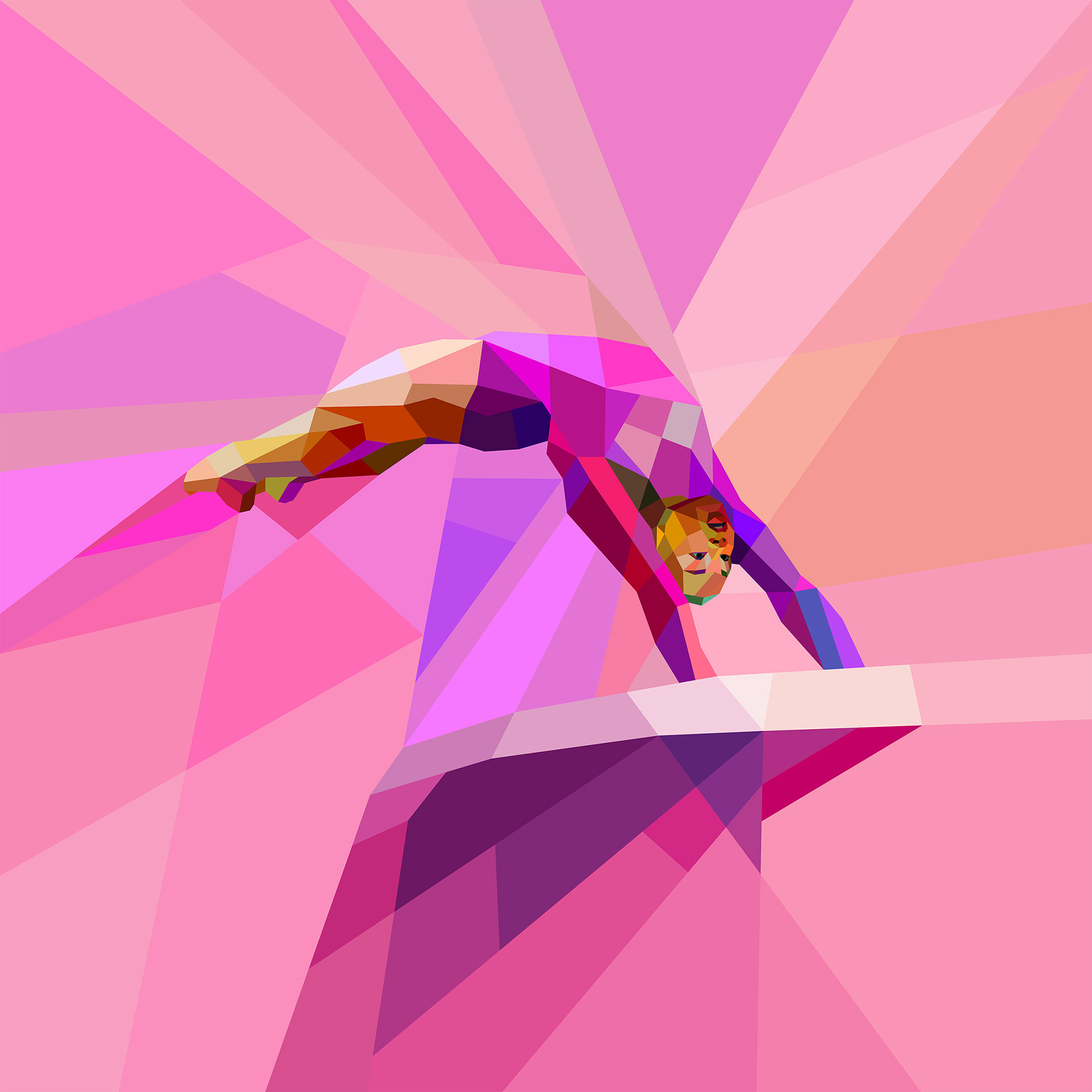 Gymnastics art digital neofuturistic design, sports media advertising