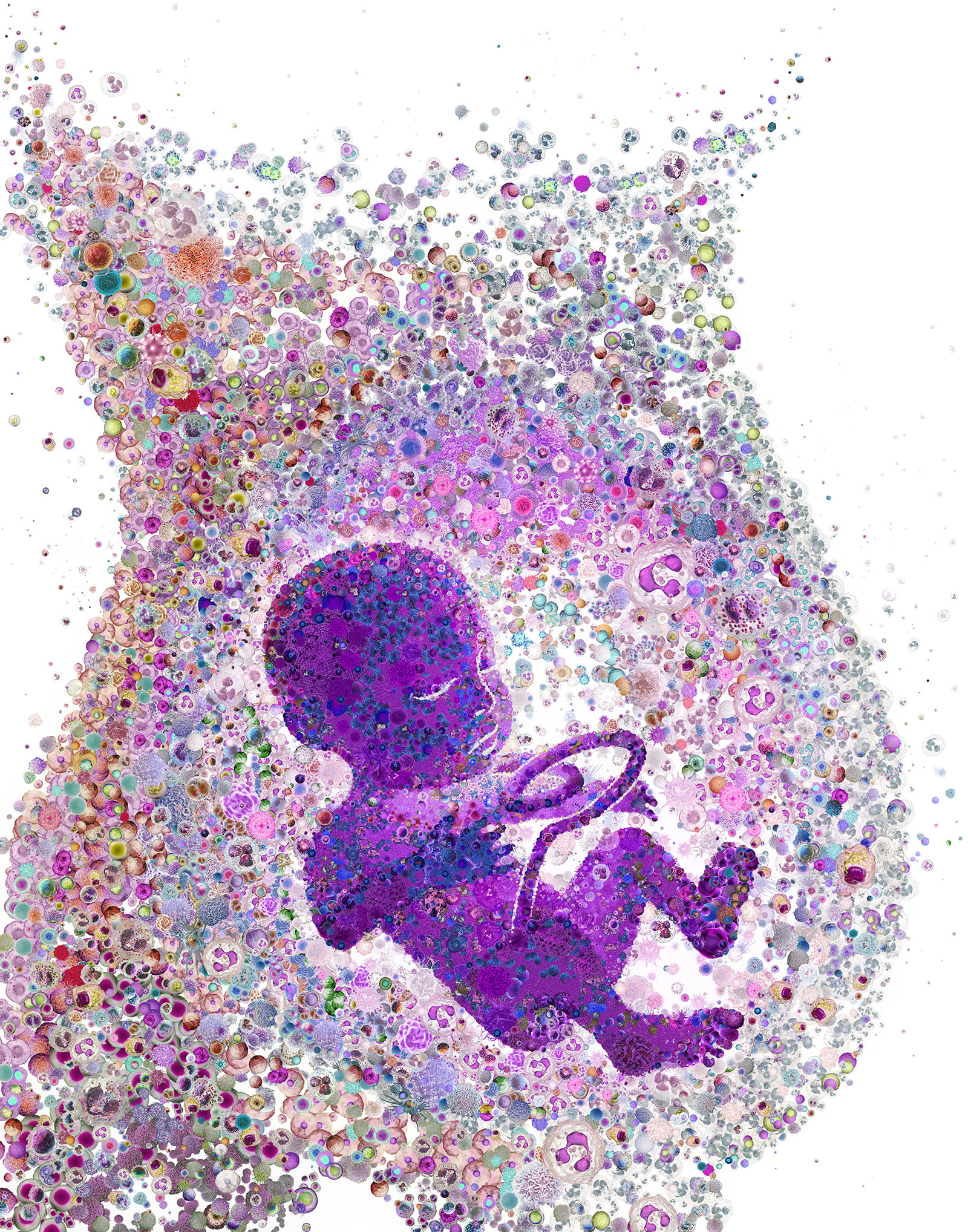 Viruses and bacteria collage of an embryo in mom's belly, news illustration for Science
