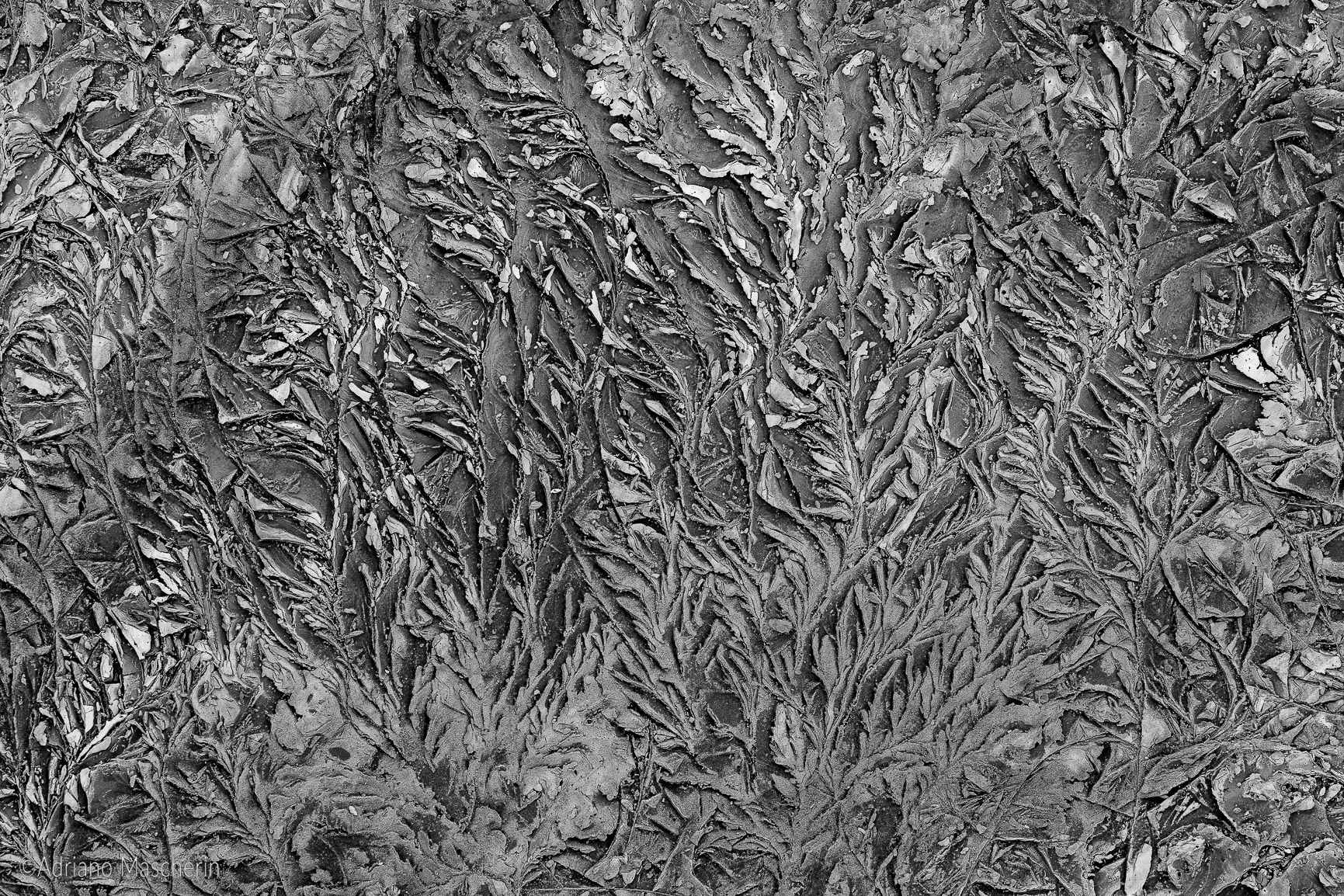 Grafie di fango - Mud shapes