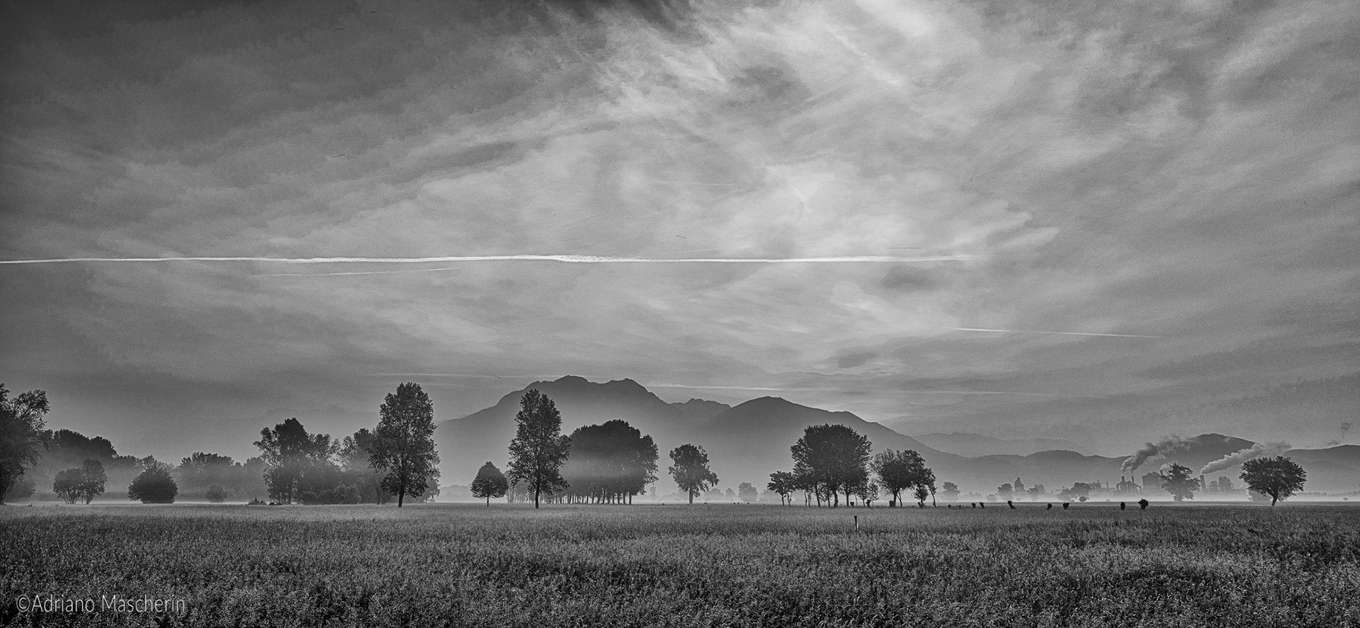 Campi nei pressi di Osoppo - Fields near Osoppo