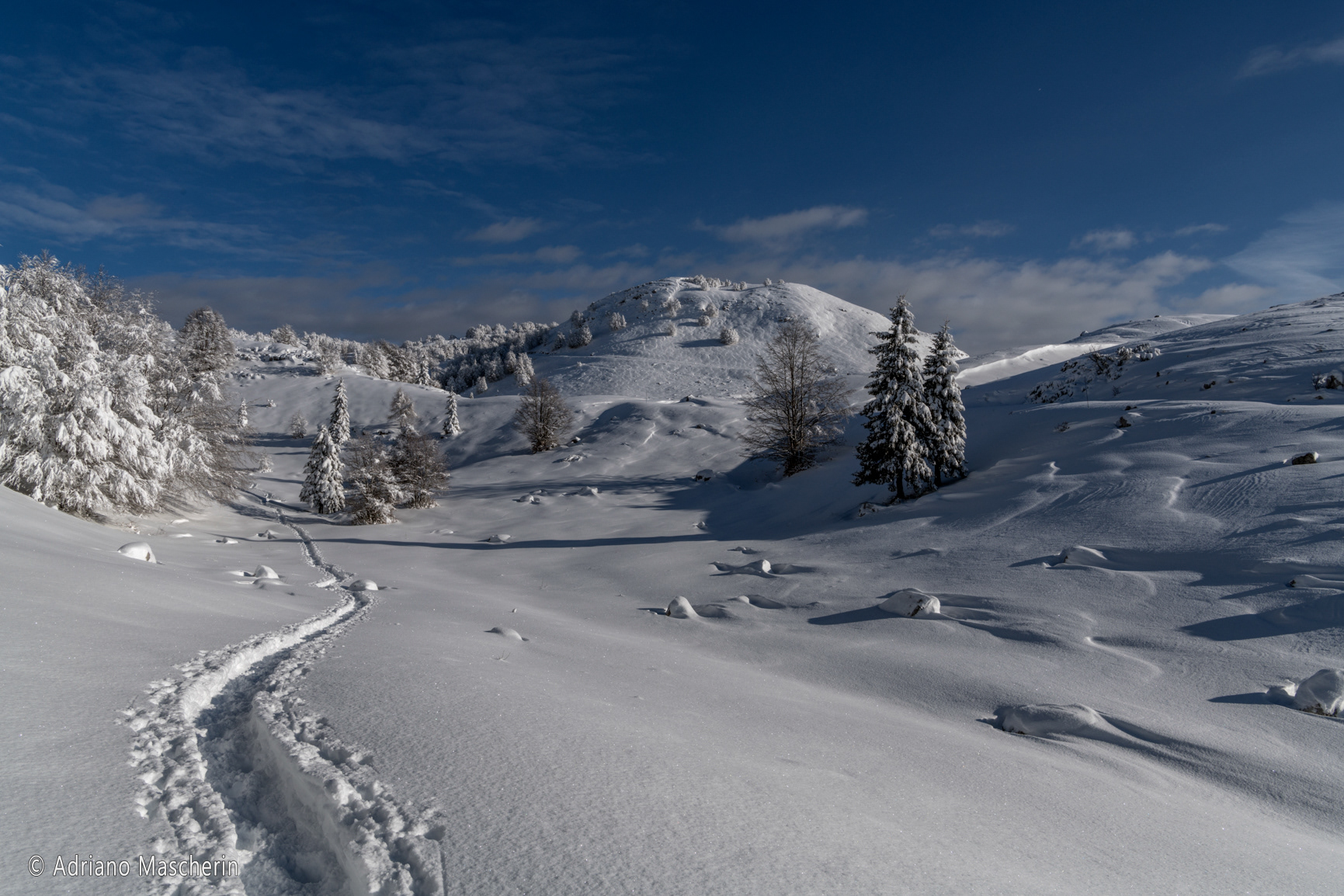Vicino col Ceschet - Near Ceschet hill