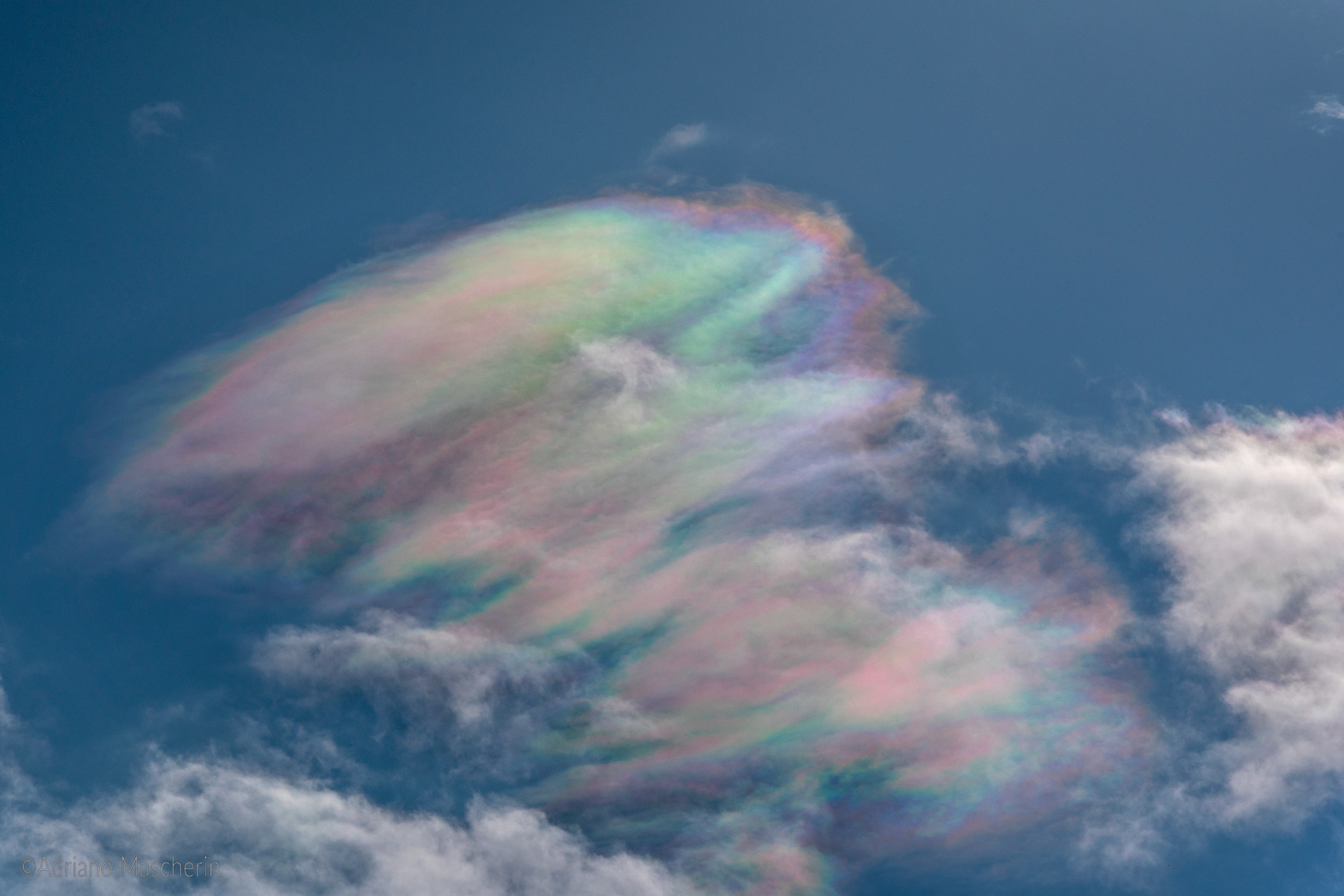 Iridescenze - Iridescence