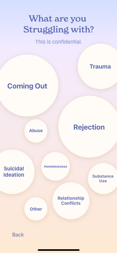 Illustrating main struggles for both LGBTQ and youth in general.