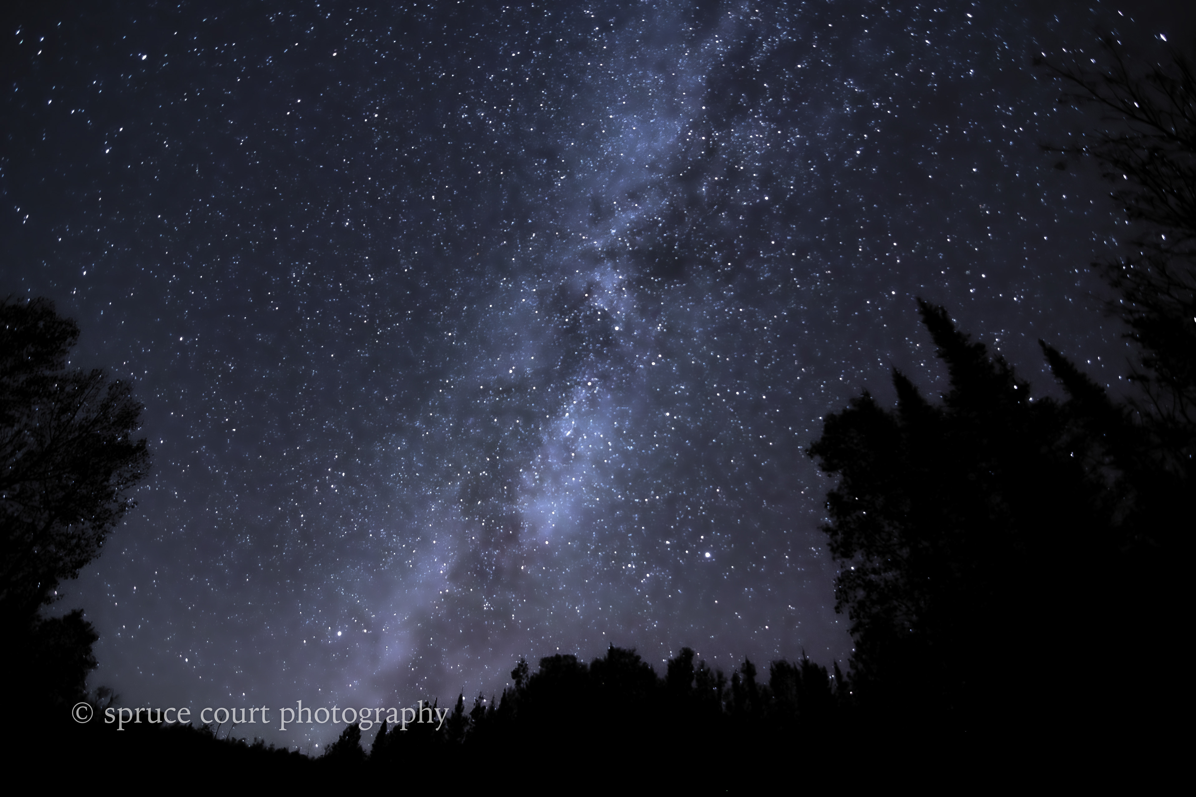 Milky Way over the Superior National Forest