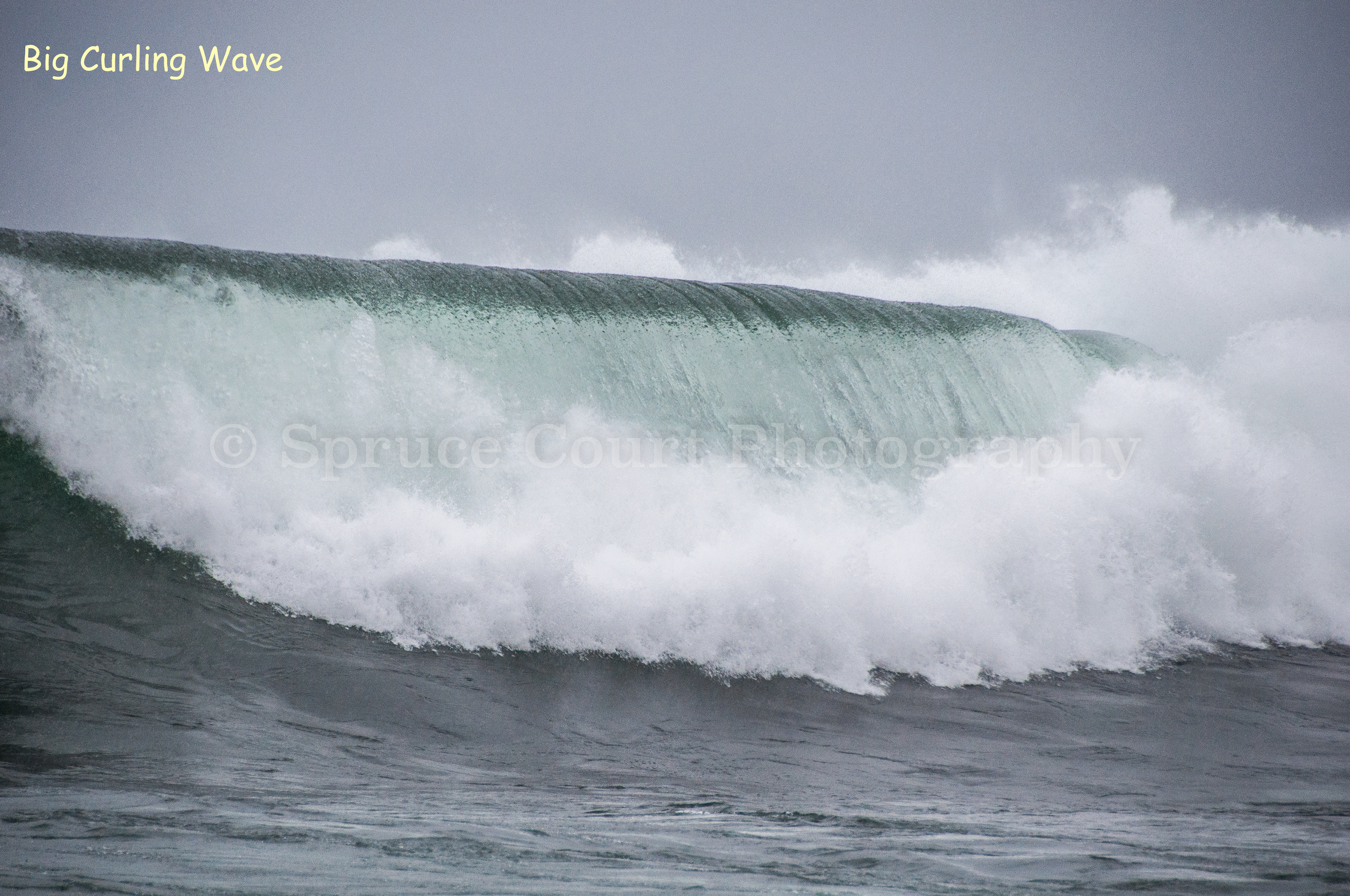 Big Curling Wave