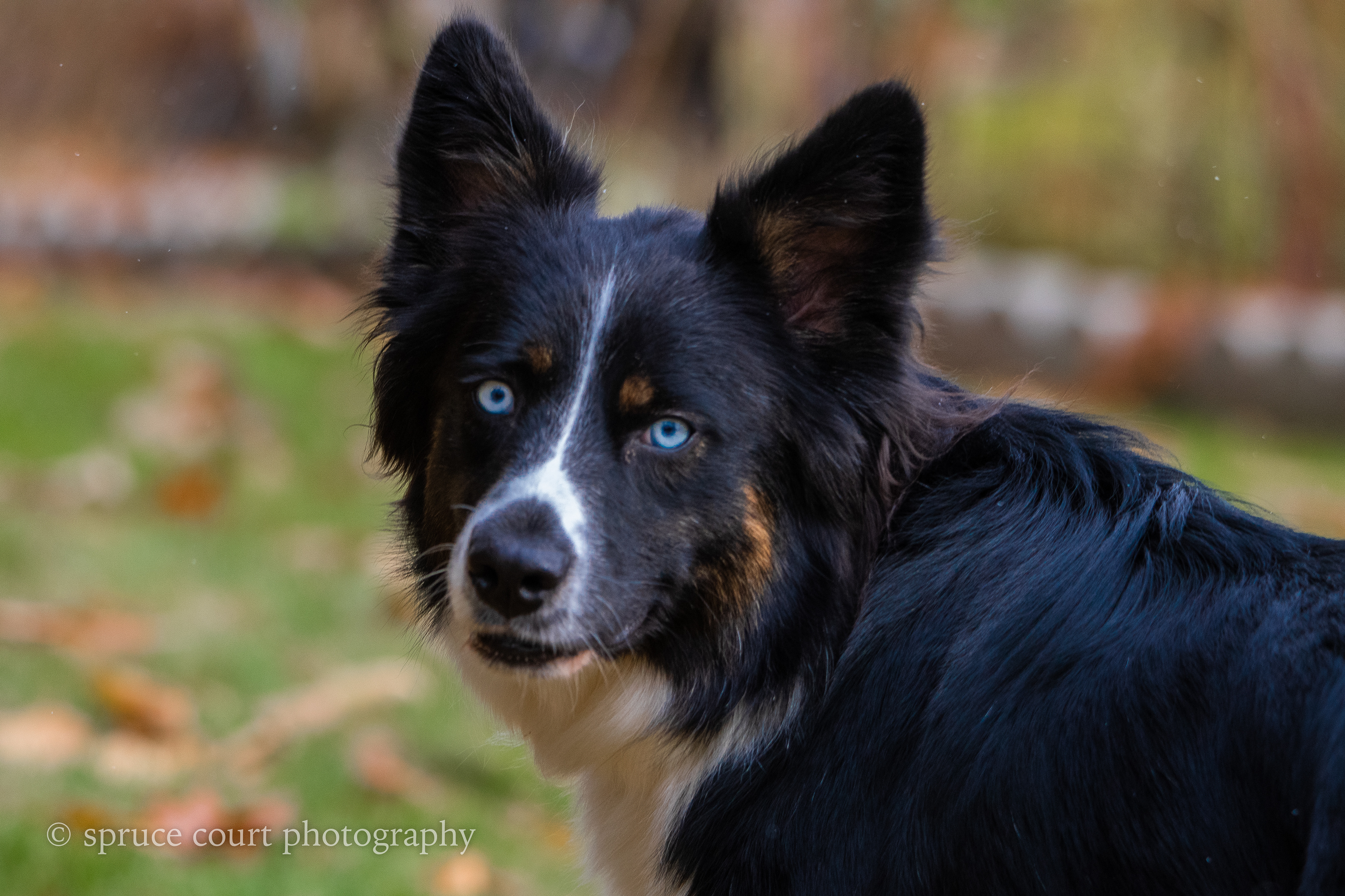 Aydan Head Shot