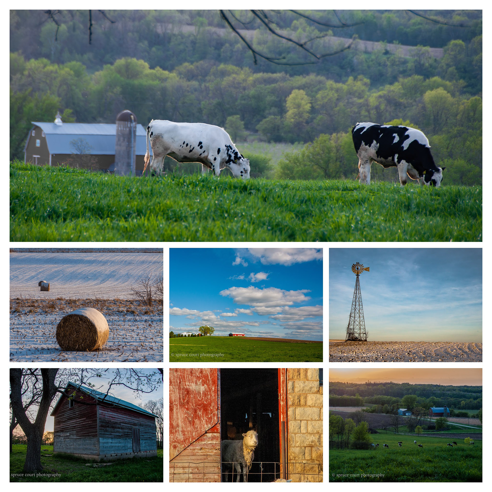 Farm landscapes series:  photographer's choice of five of the photos shown here.