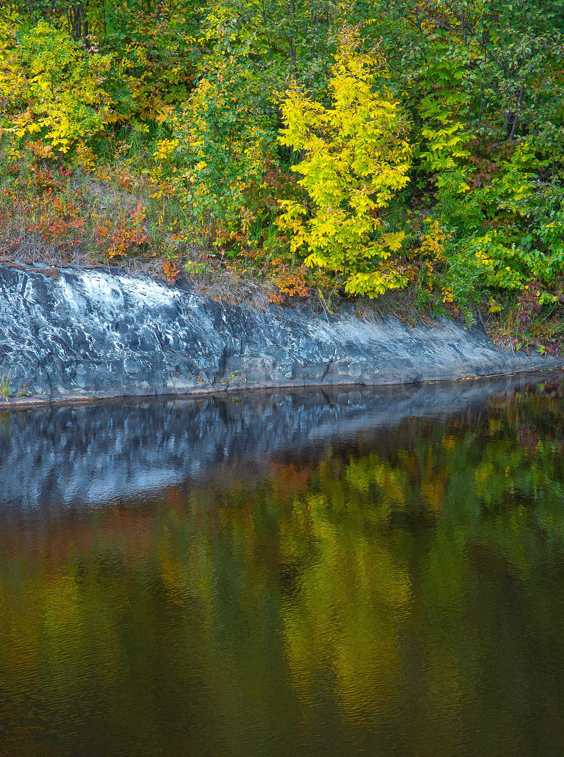 Forbay Lake 2