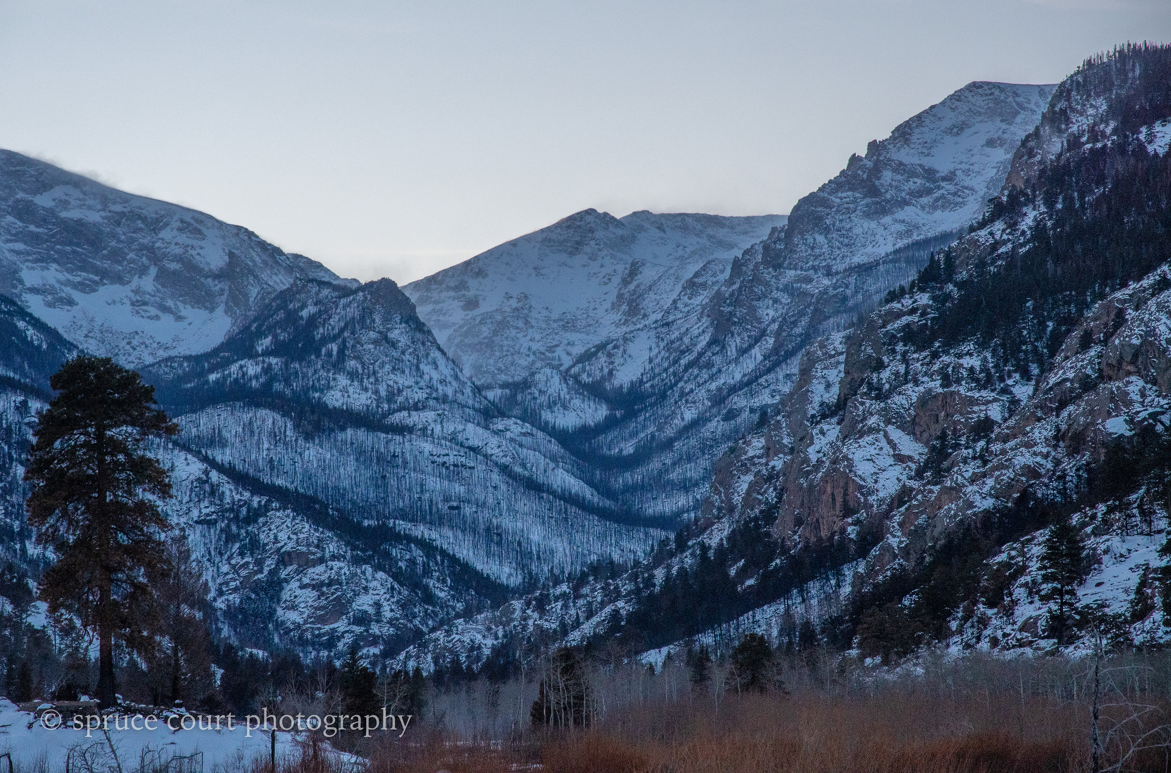 Troublesome Fire Aftermath, Rocky Mountain National Park