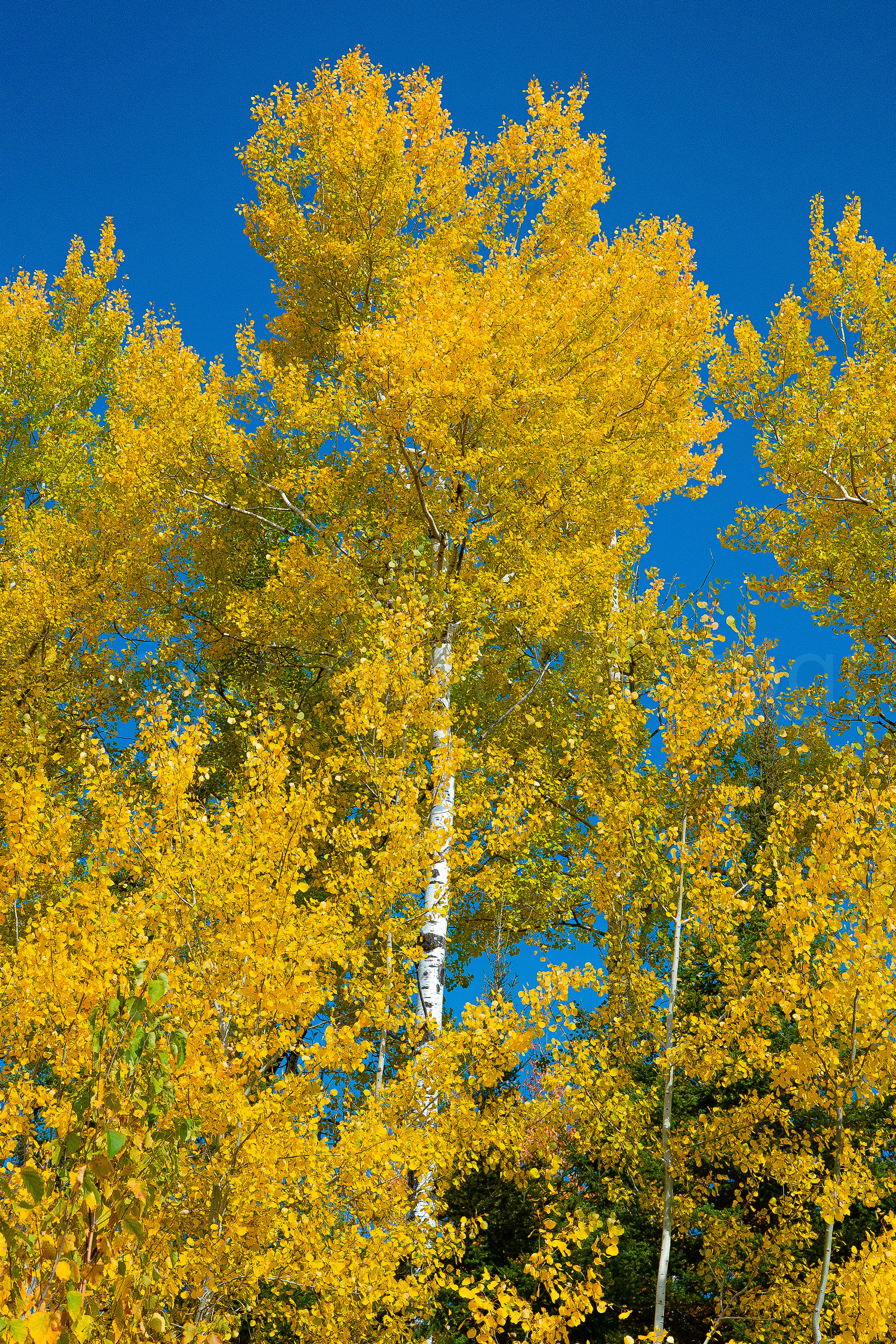 Fall Beaver Bay 2
