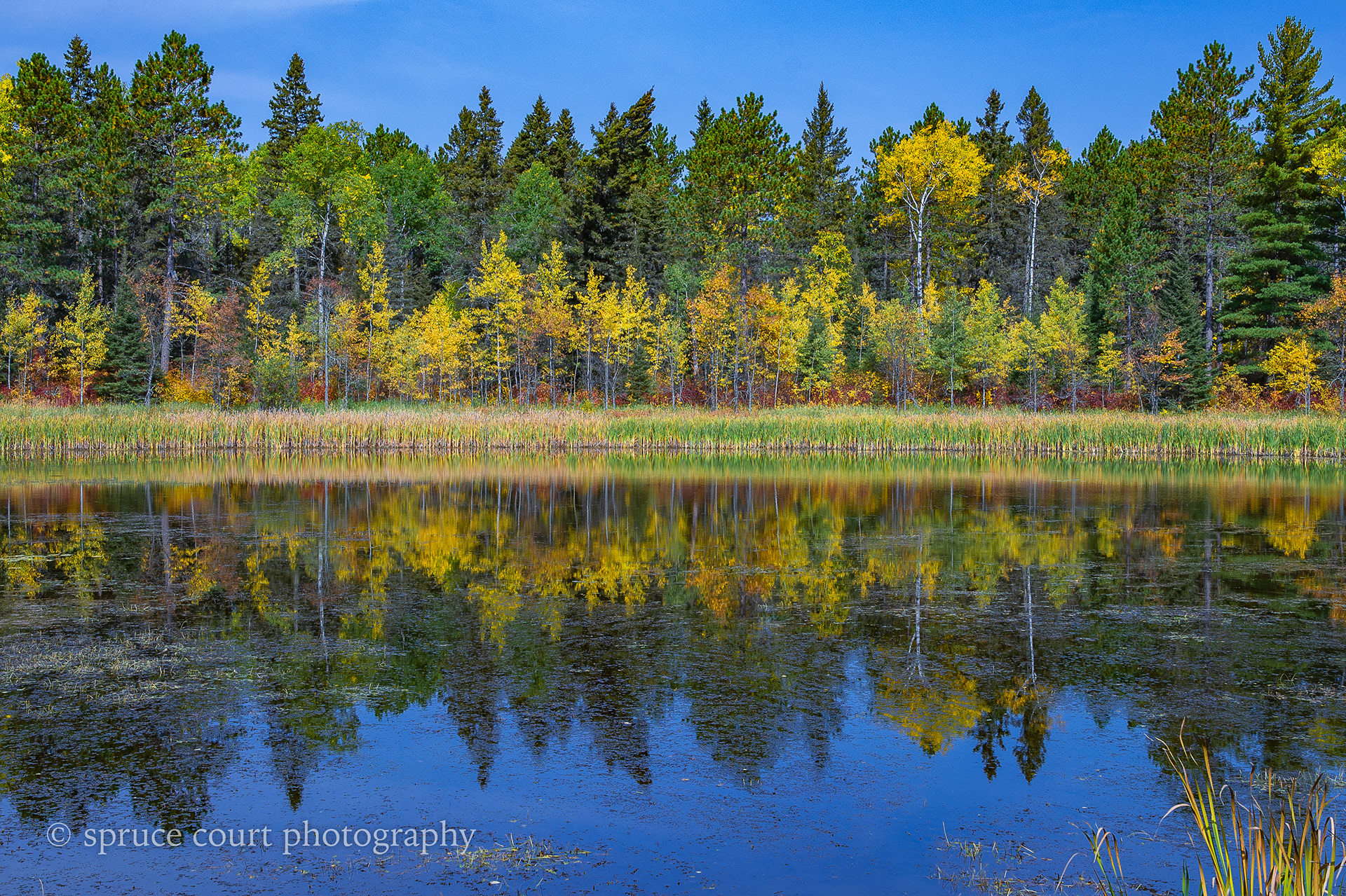 Fall Colors on Highway 1 2020 #1
