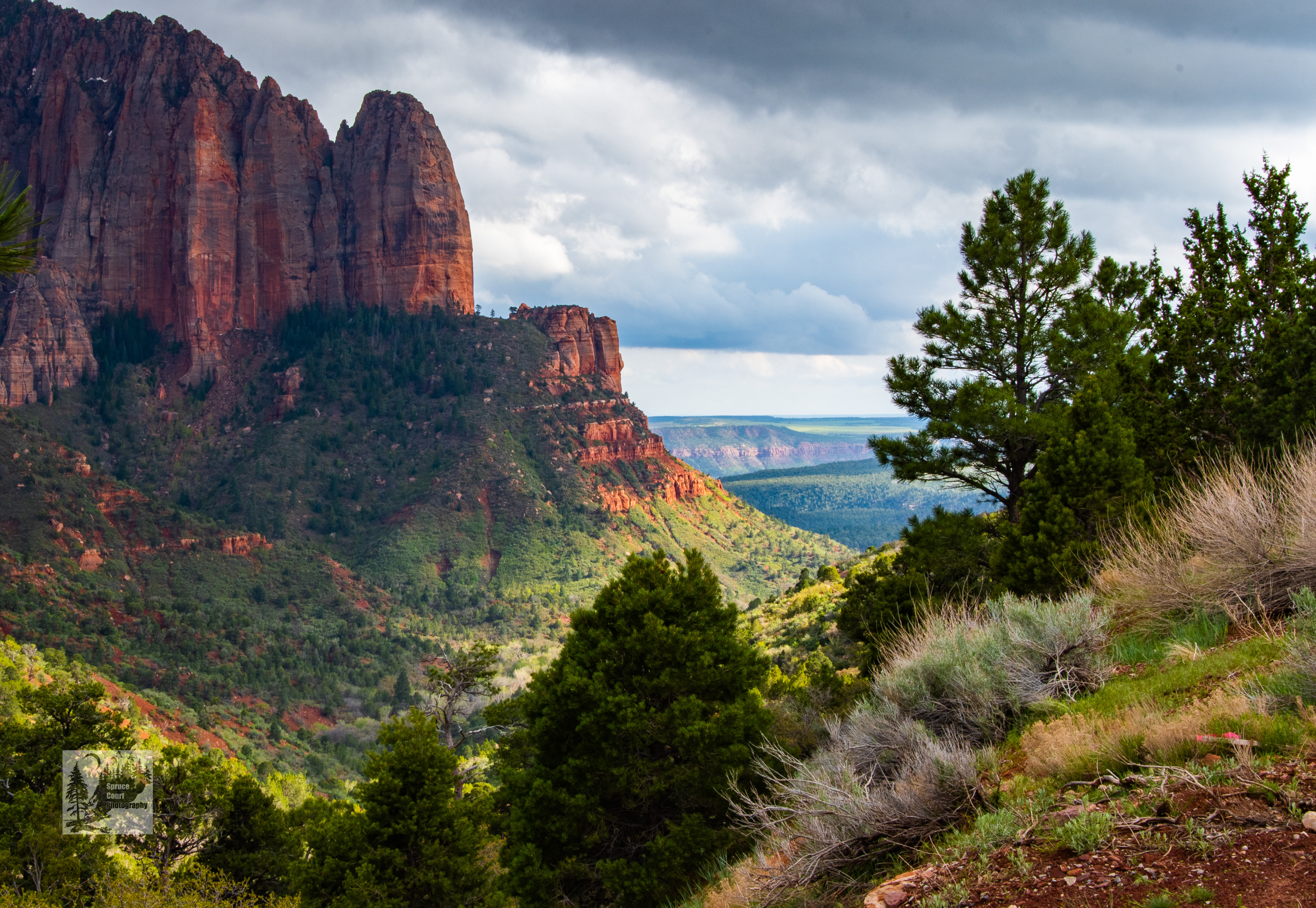 Shuntavi Butte, Kolob Canyon, Zion NP #2