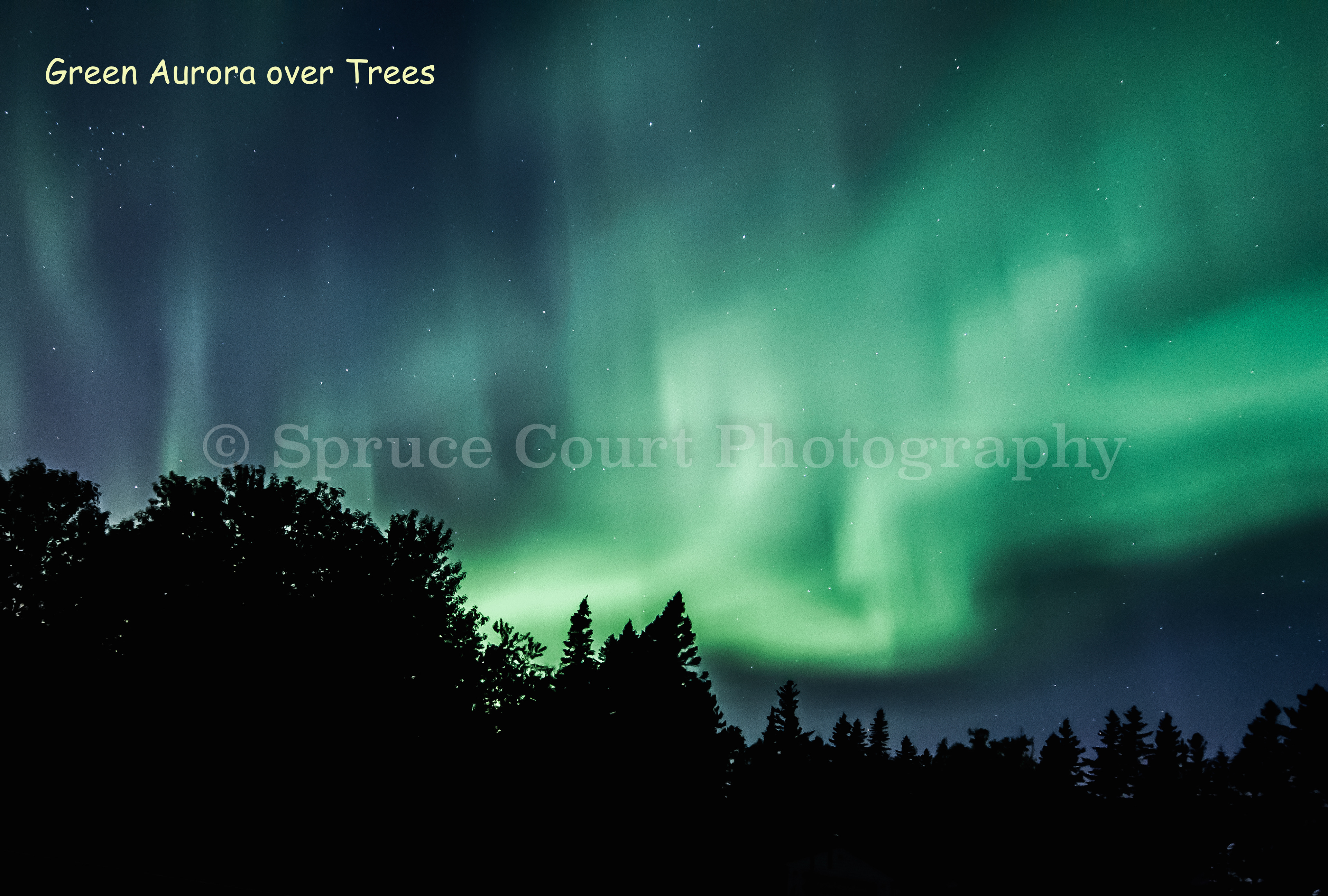 Green Aurora over Trees