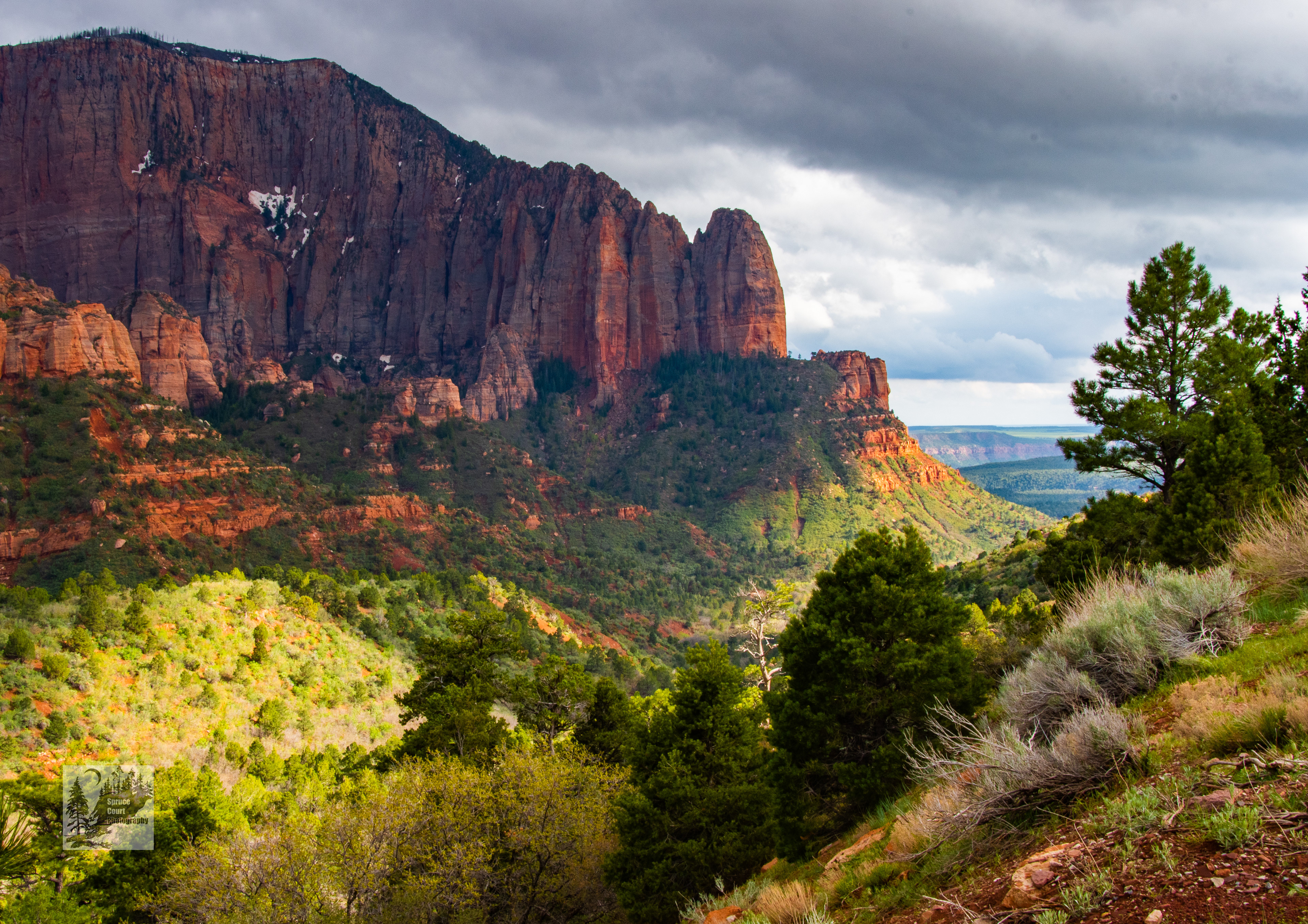 Shuntavi Butte, Kolob Canyon, Zion NP #1