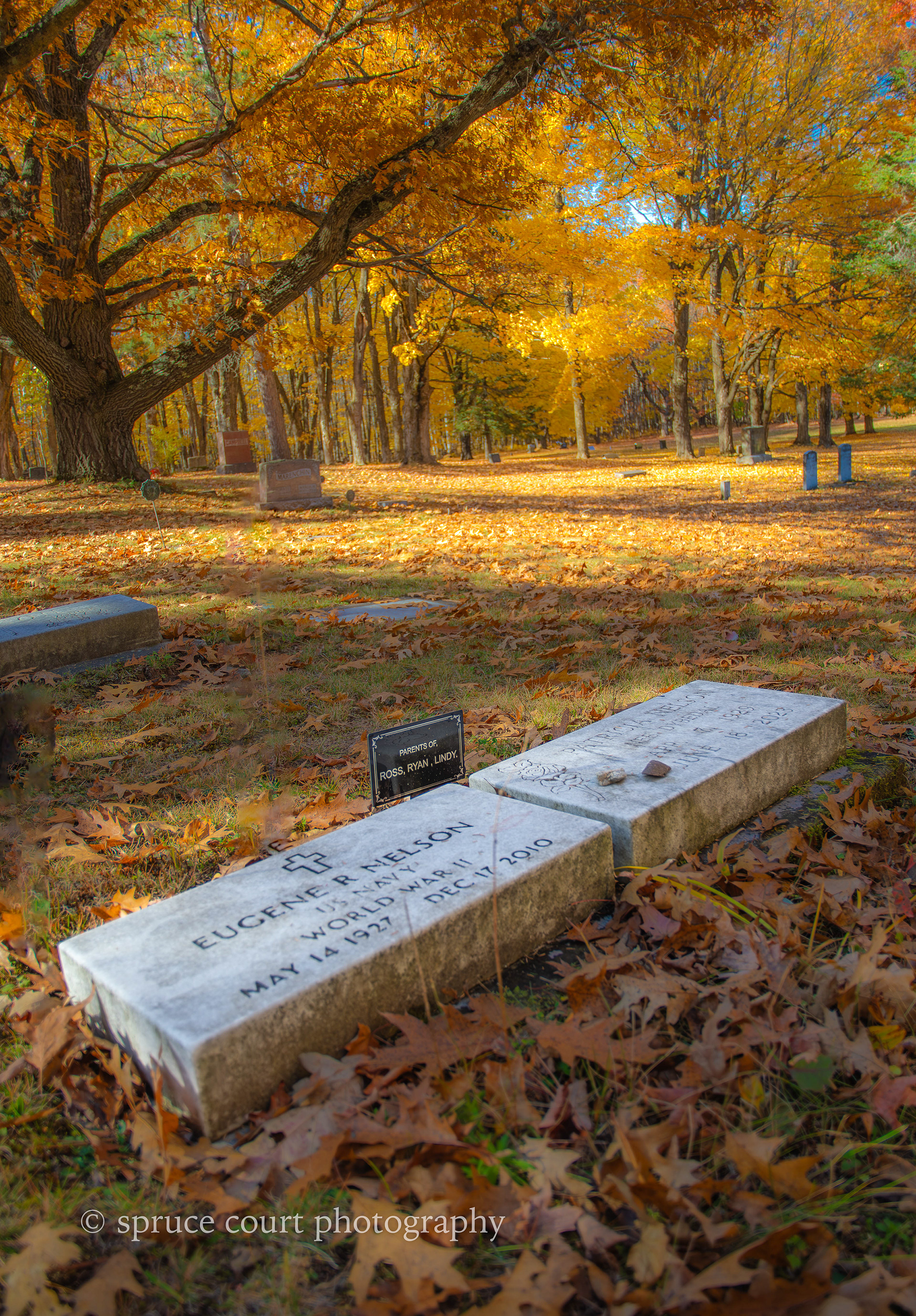 Grandview Cemetery 1