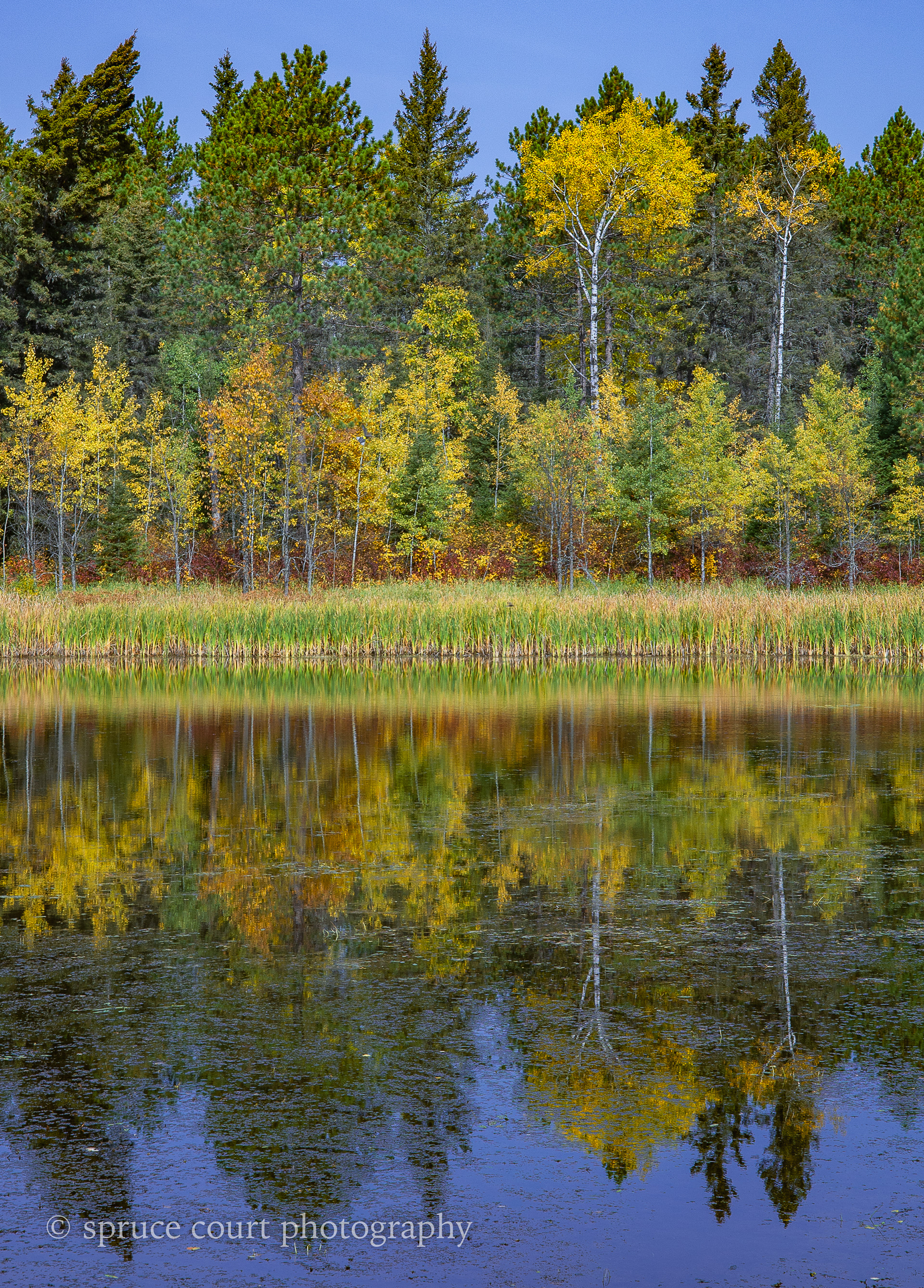 Fall Colors on Highway 1 2020 #2