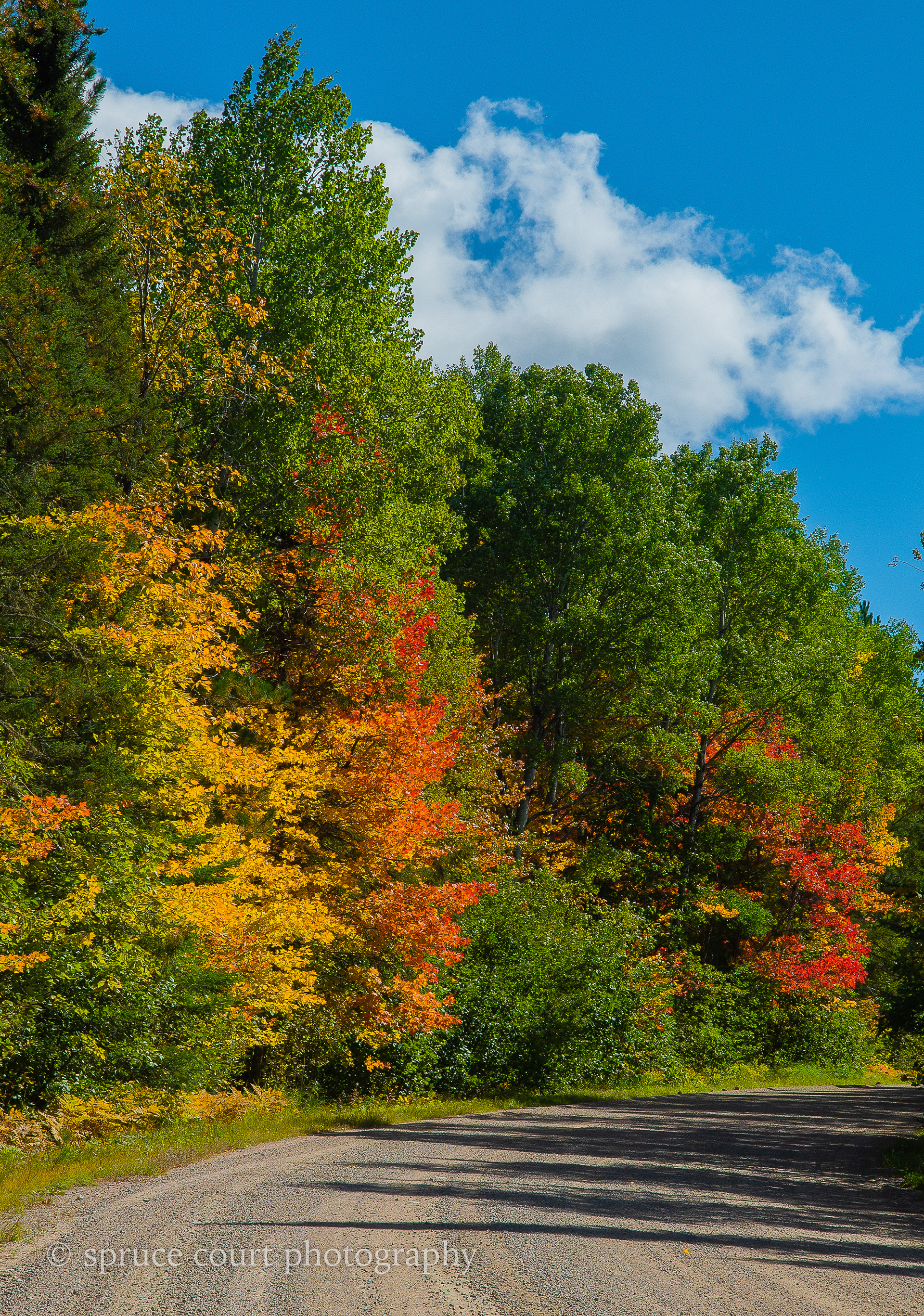 Fall Colors on Echo Trail 2020 #3