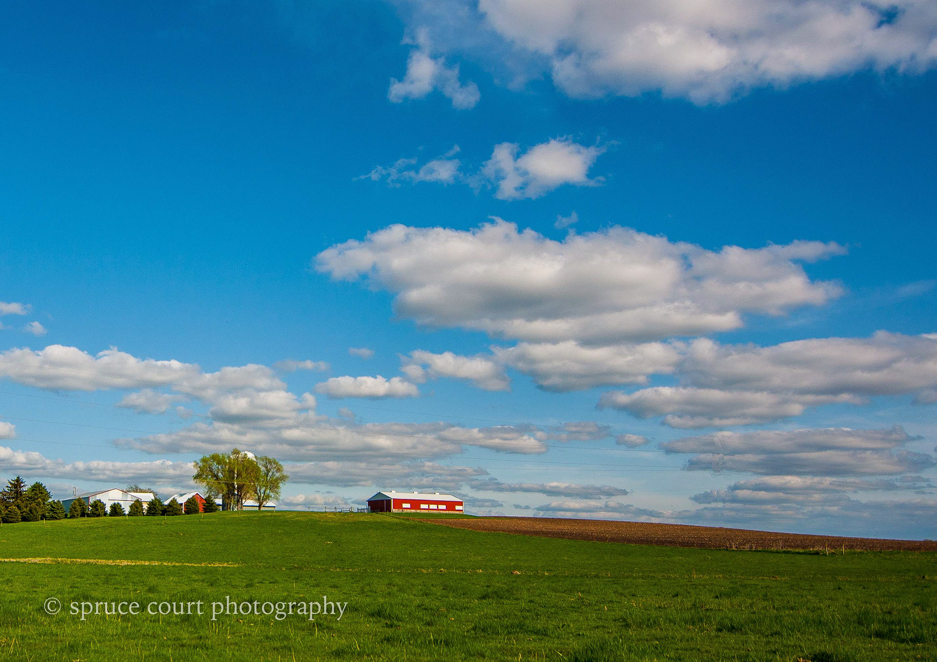 Red Barn in Dodge County