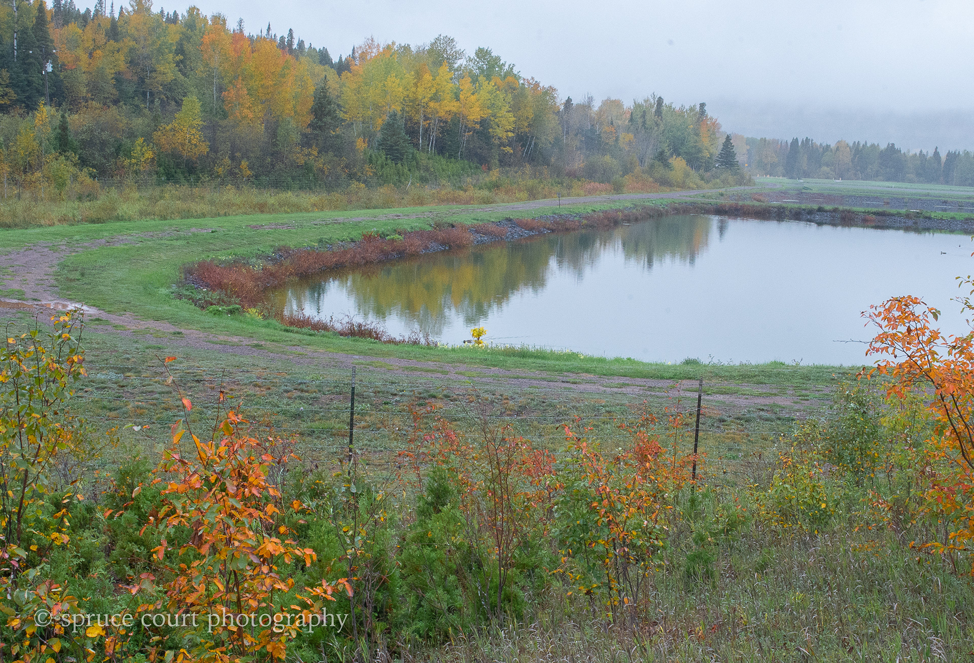 Fall and Fog 1