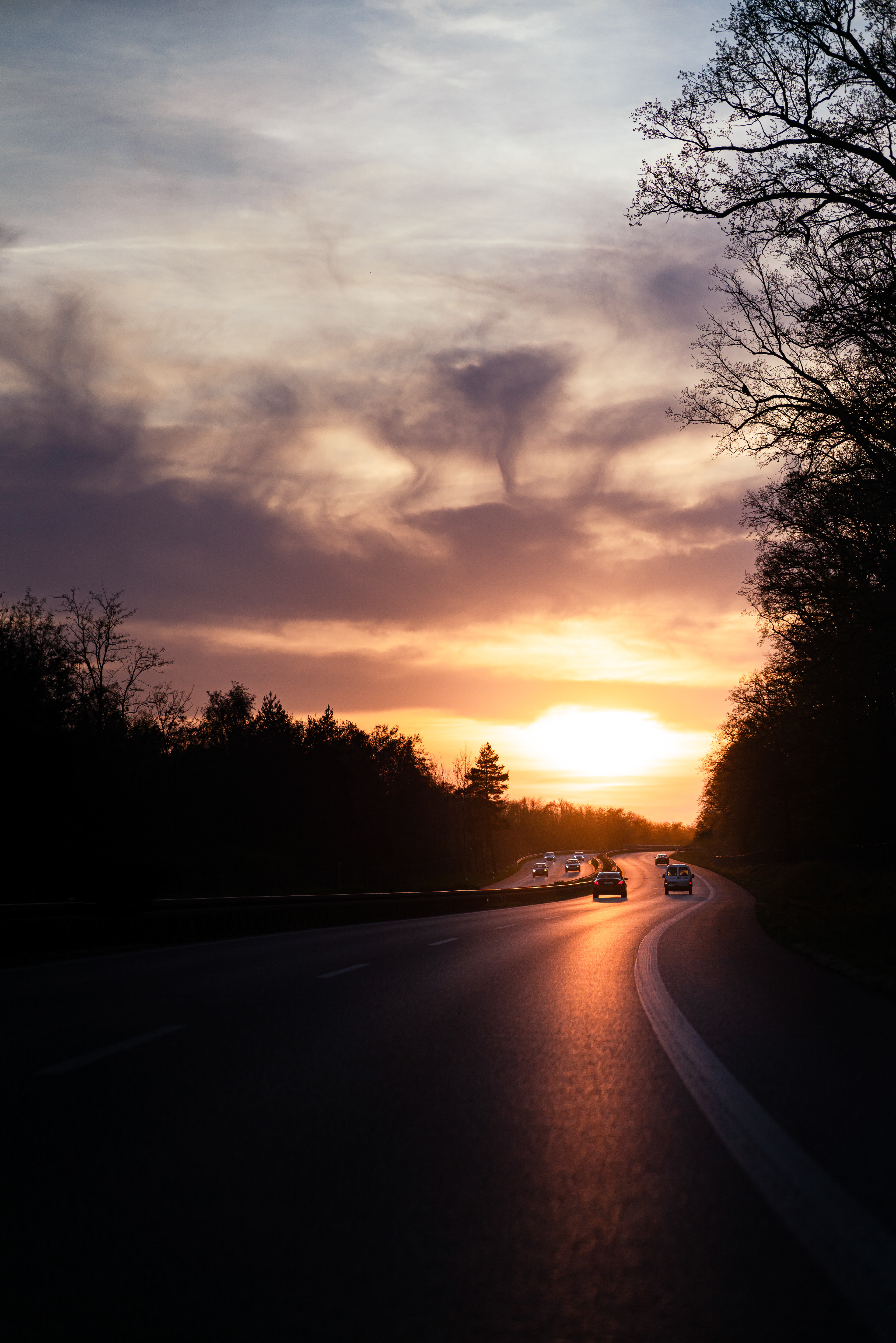 Sunset street