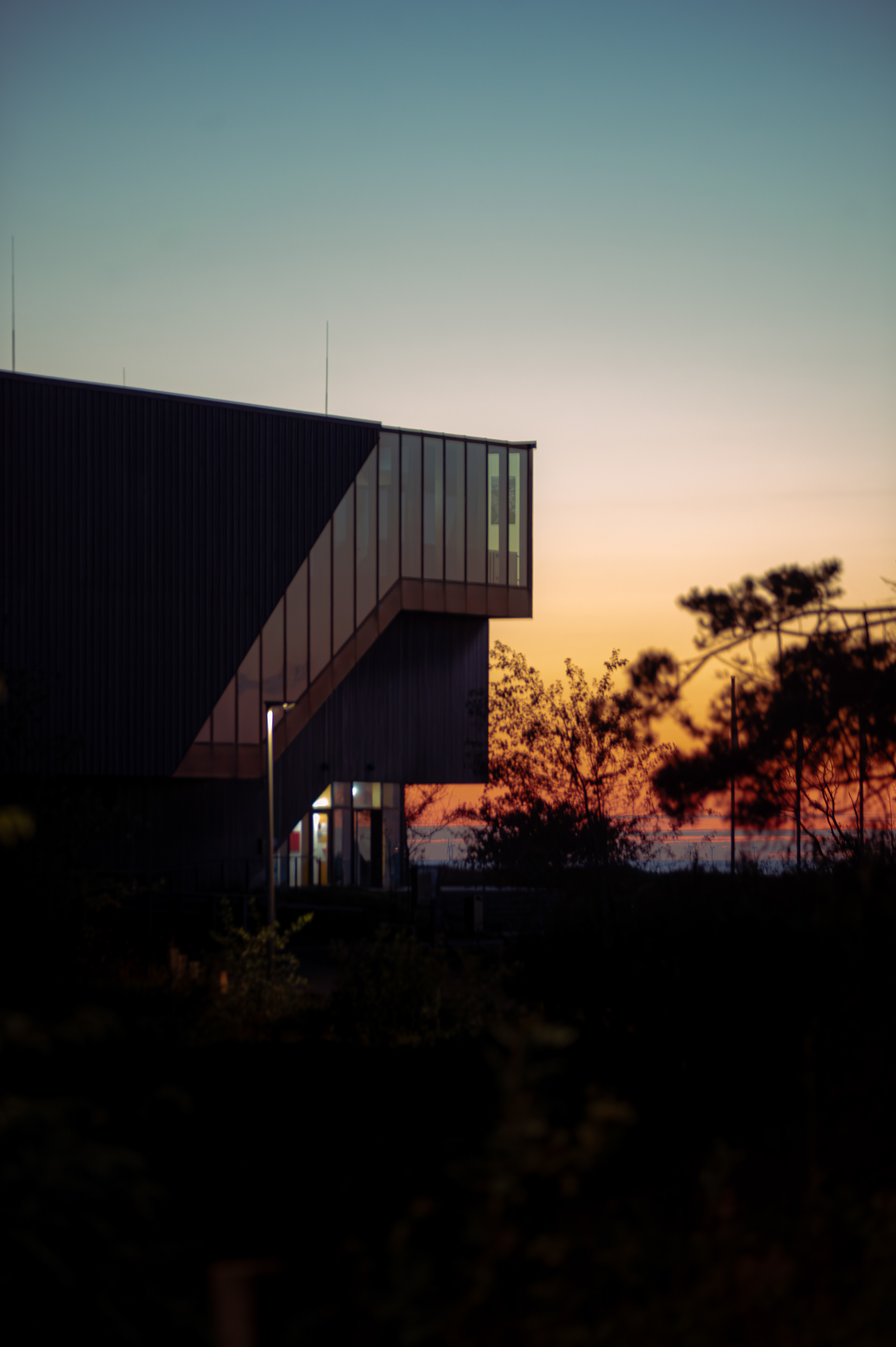 WattBZ at Sunset
