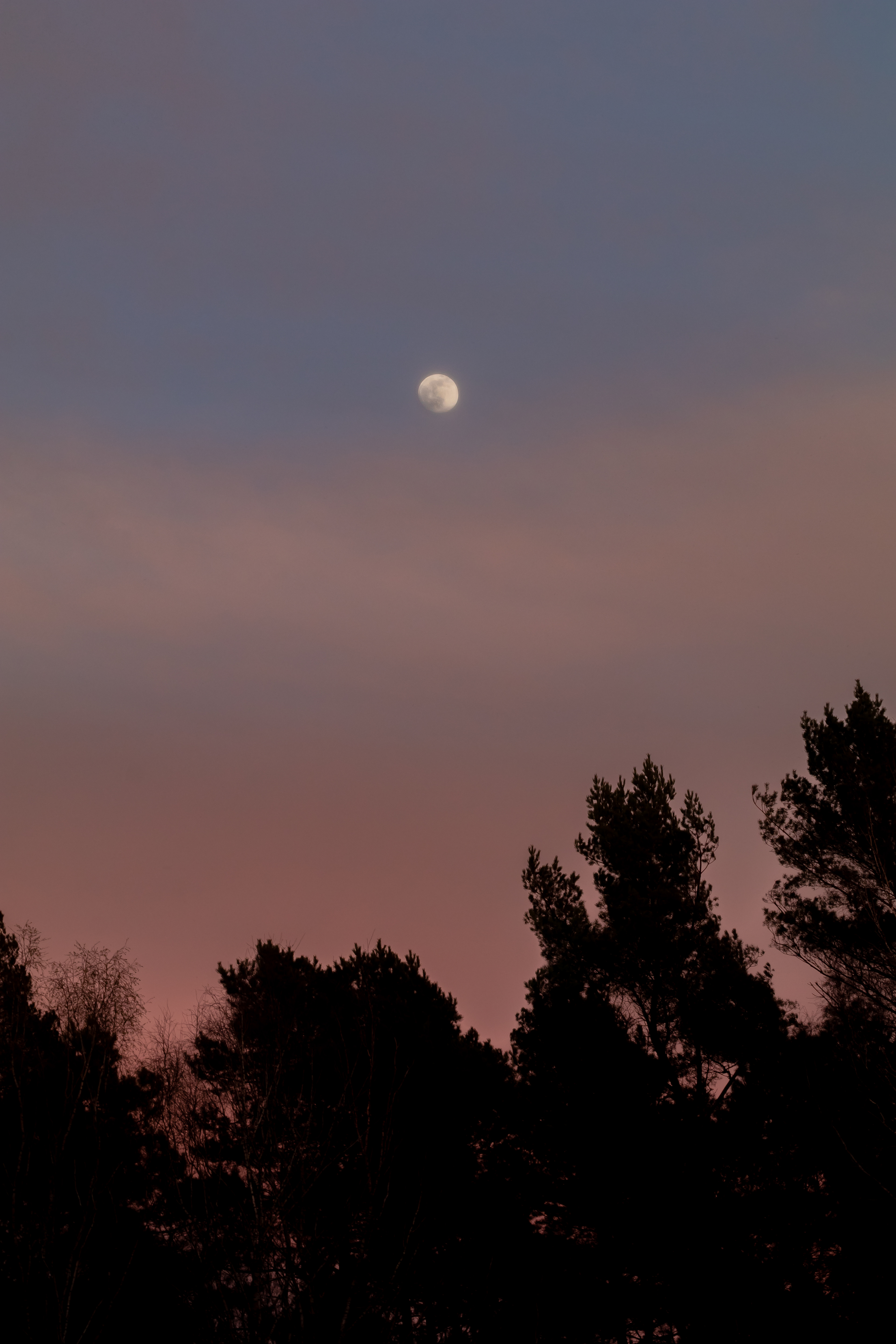 Moony Sky