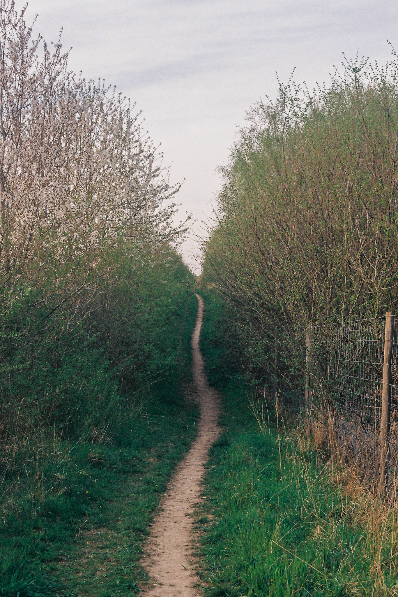 Arger Fen, 2022