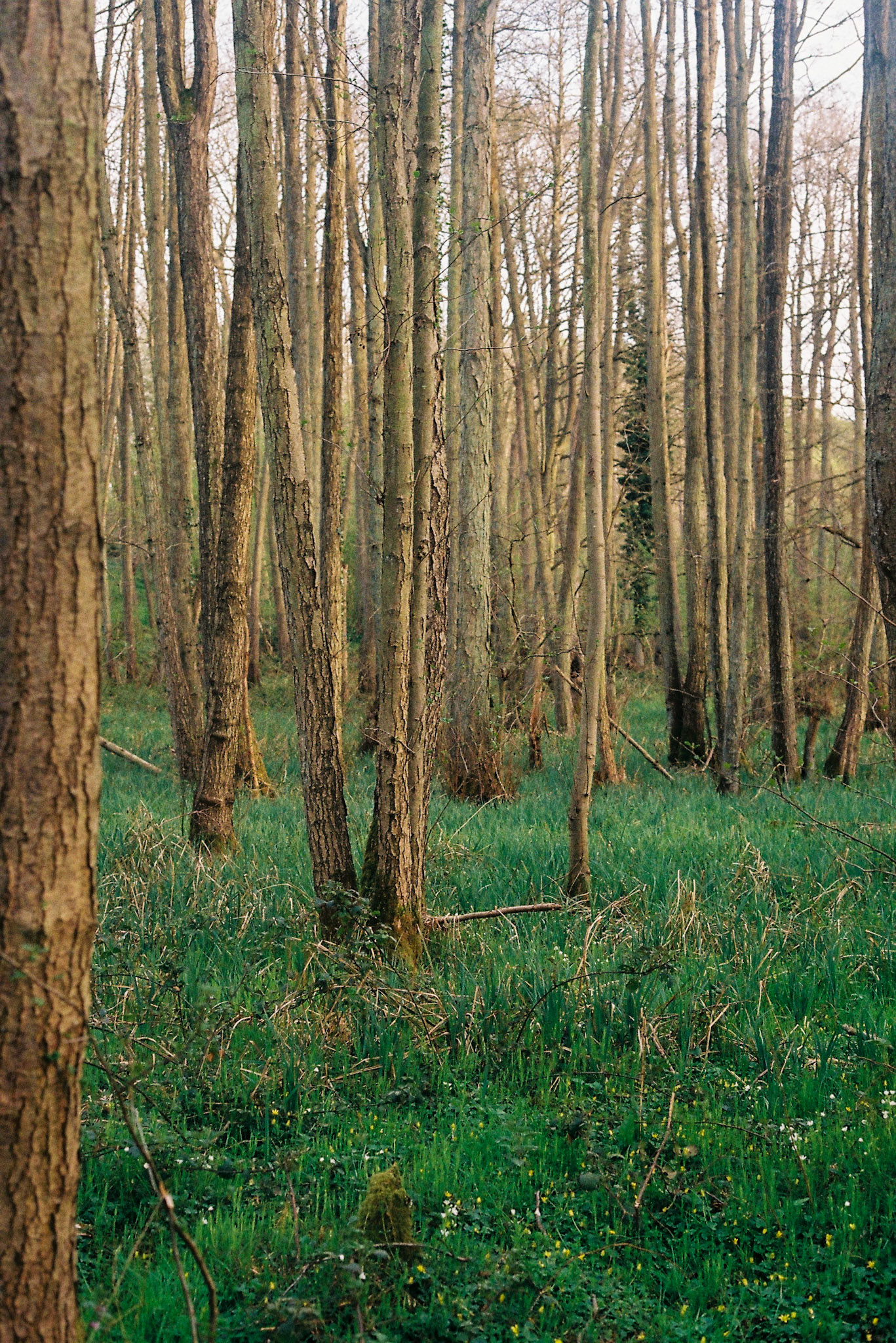 Arger Fen, 2022