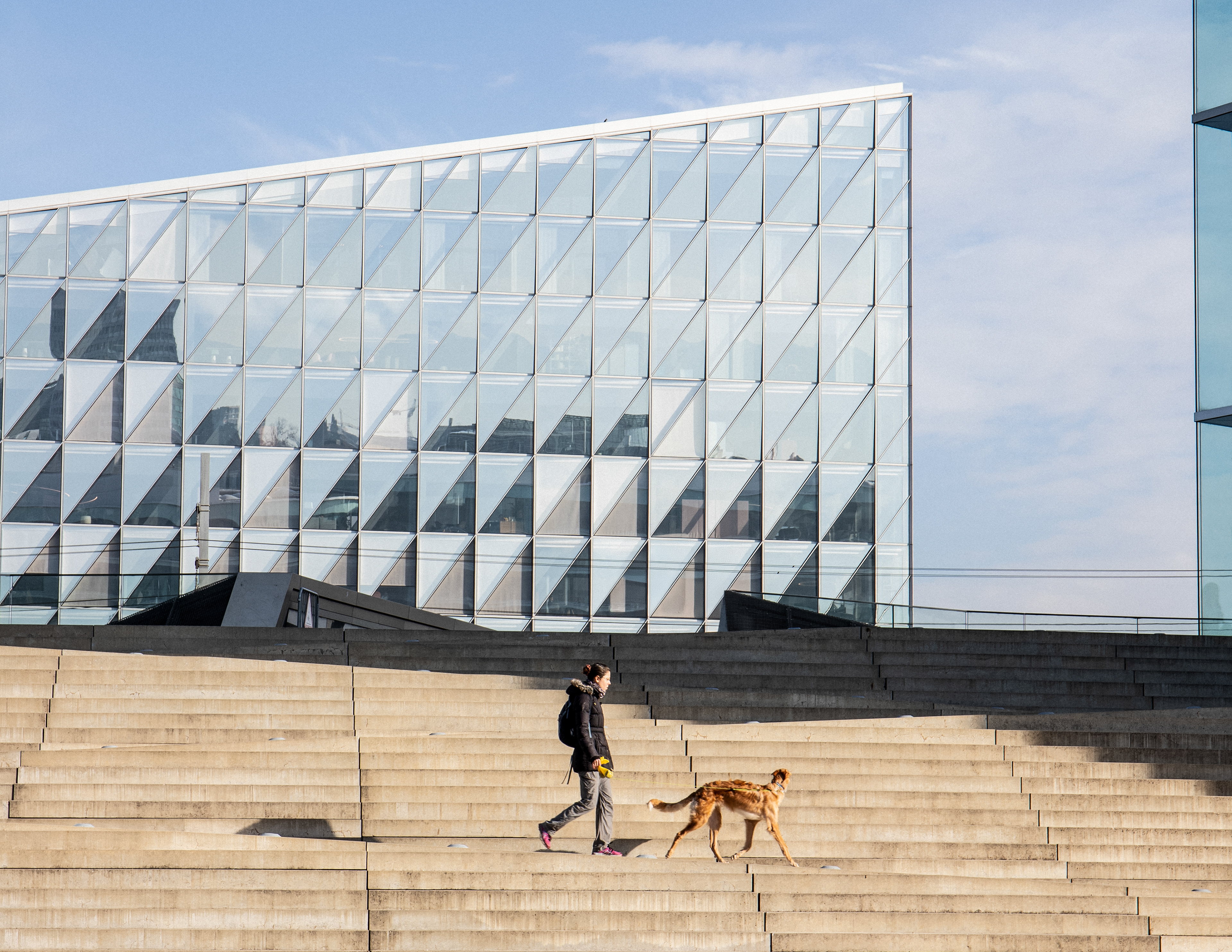Architecture Canine, réalisée en 2024
