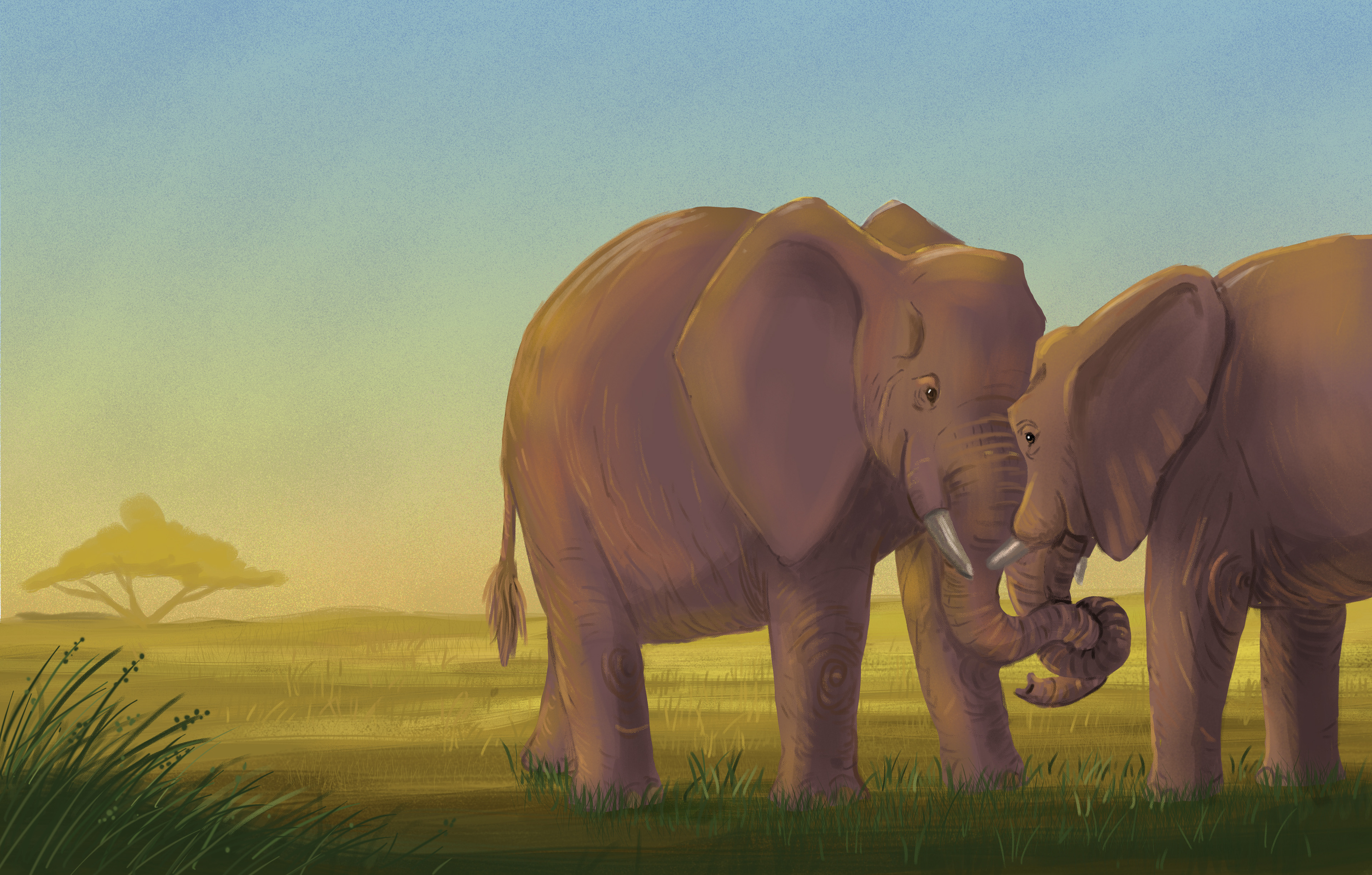 published by Albert Whitman