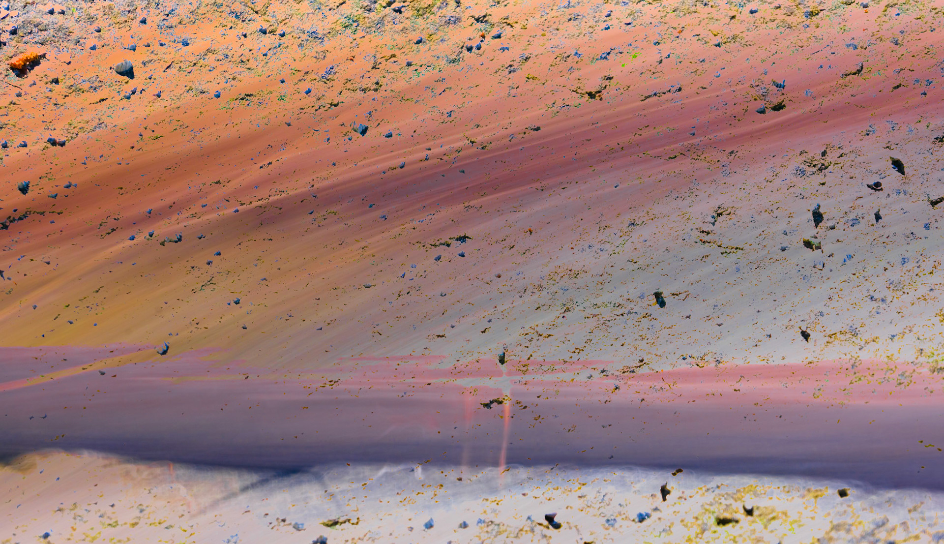 Peppered Arbutus - Arbutus poivré