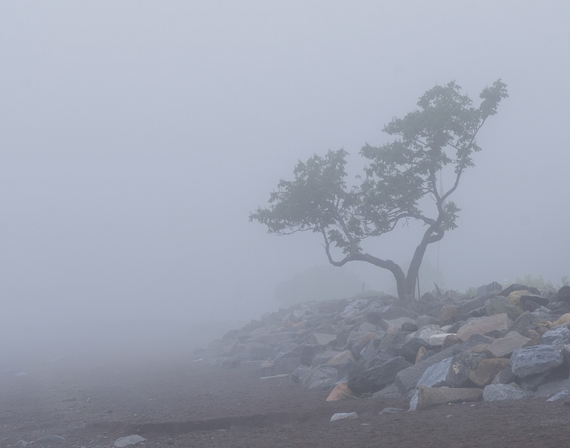 Dans la brume / fog