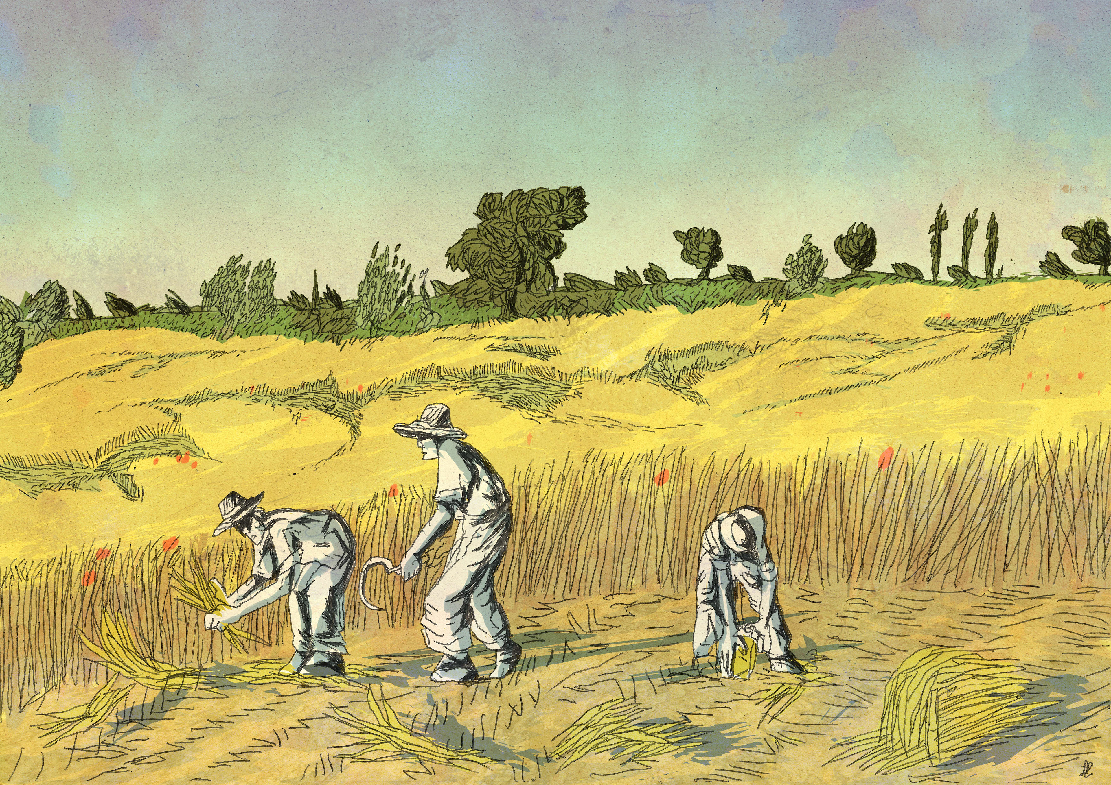 ODE TO JUNE #2, personal project 2023