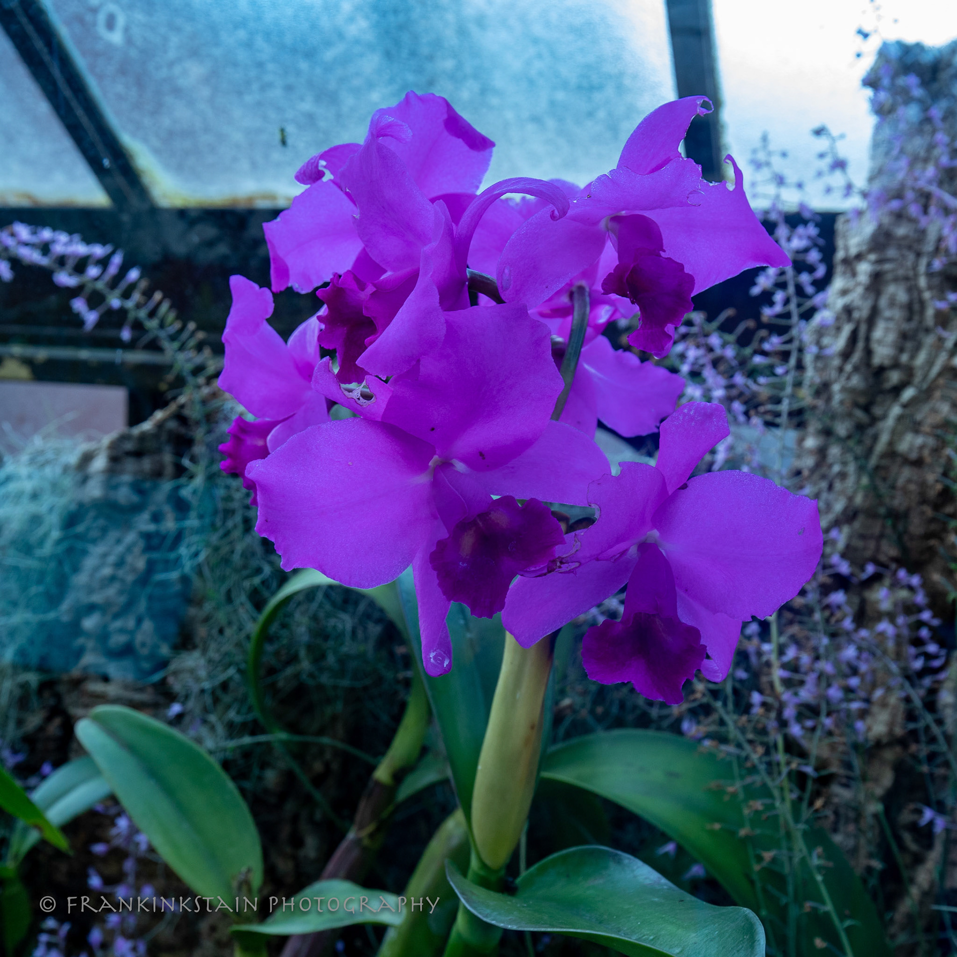 Botanic Gardens