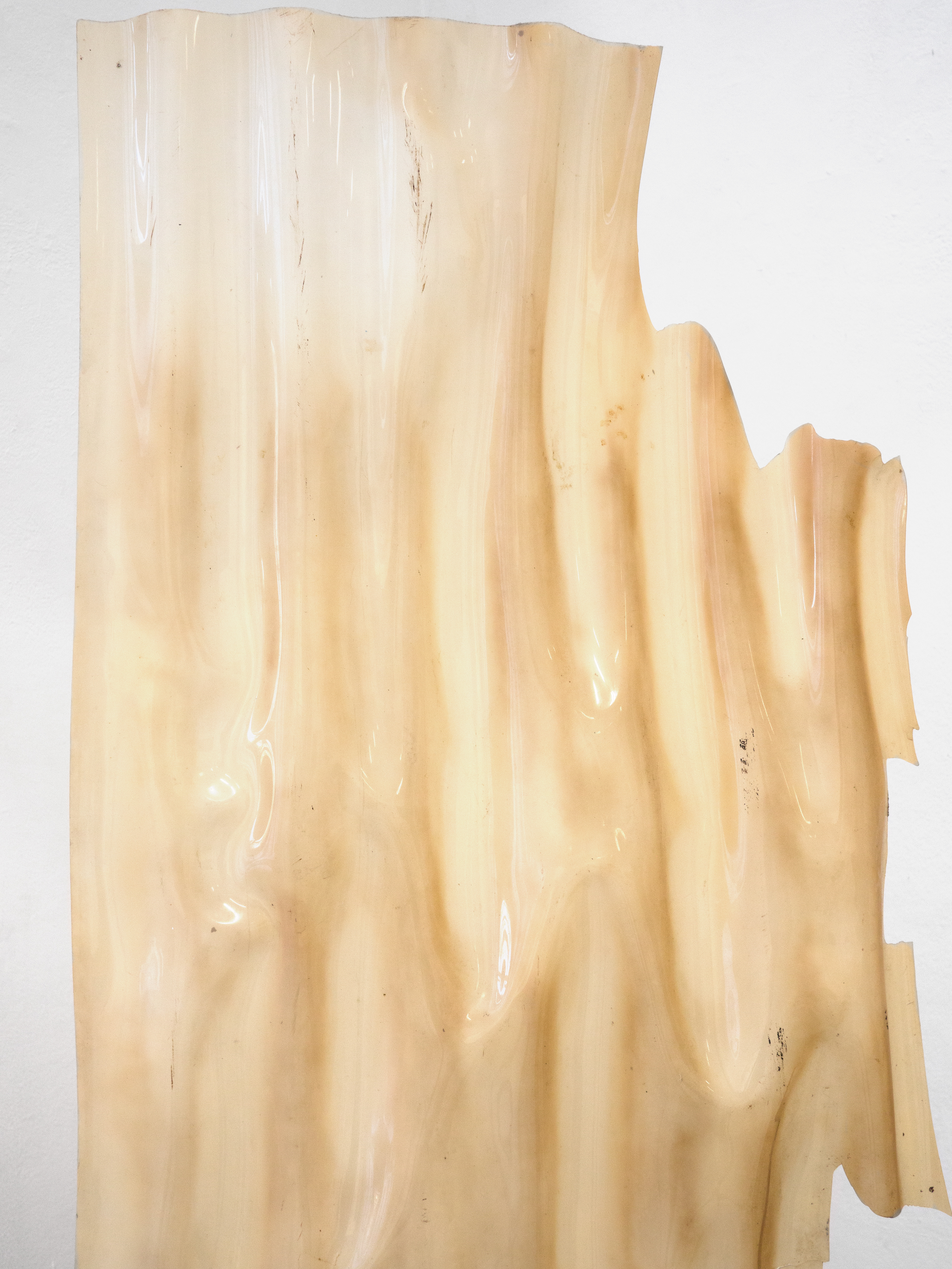 Elisabeth Jahrmärker