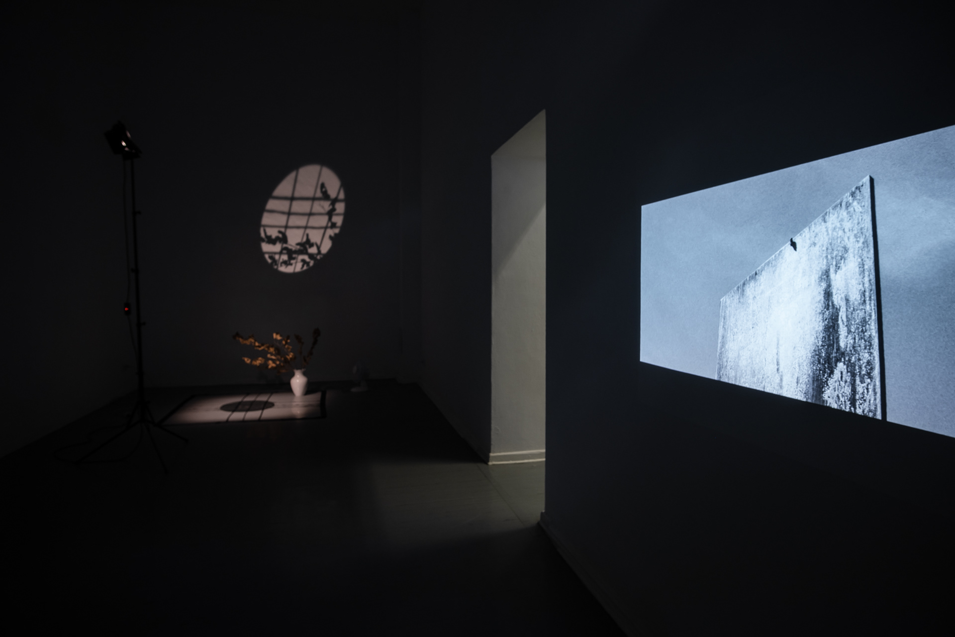 Ulrich Vogl, Sina Samavati