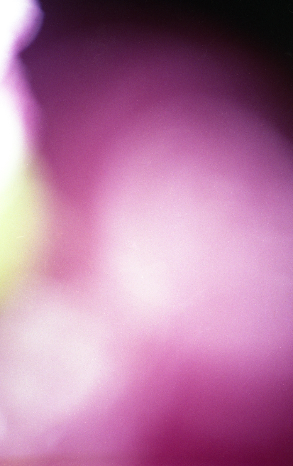 Forgotten Dream No.7 - 2018